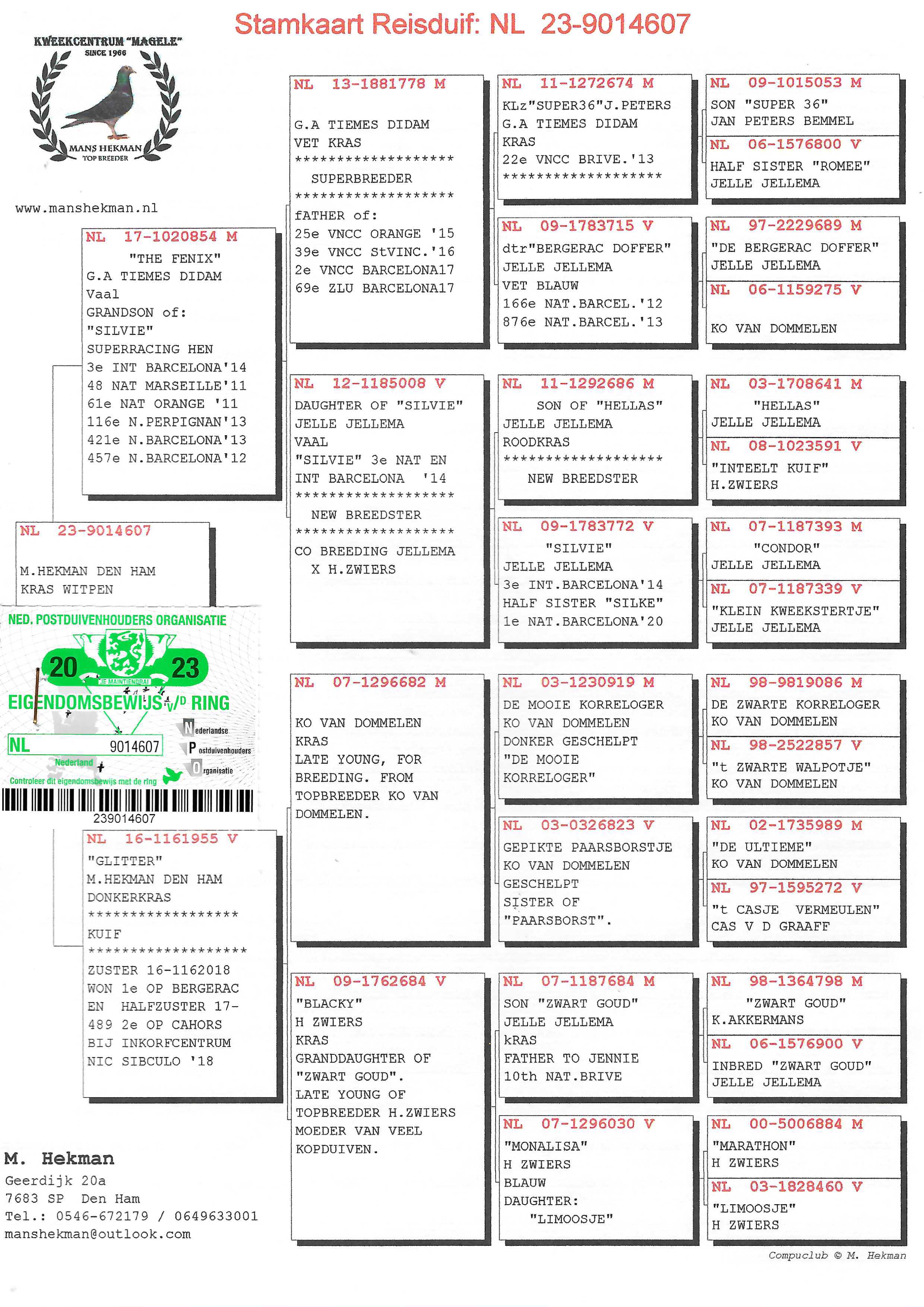 Pigeon pedigree image