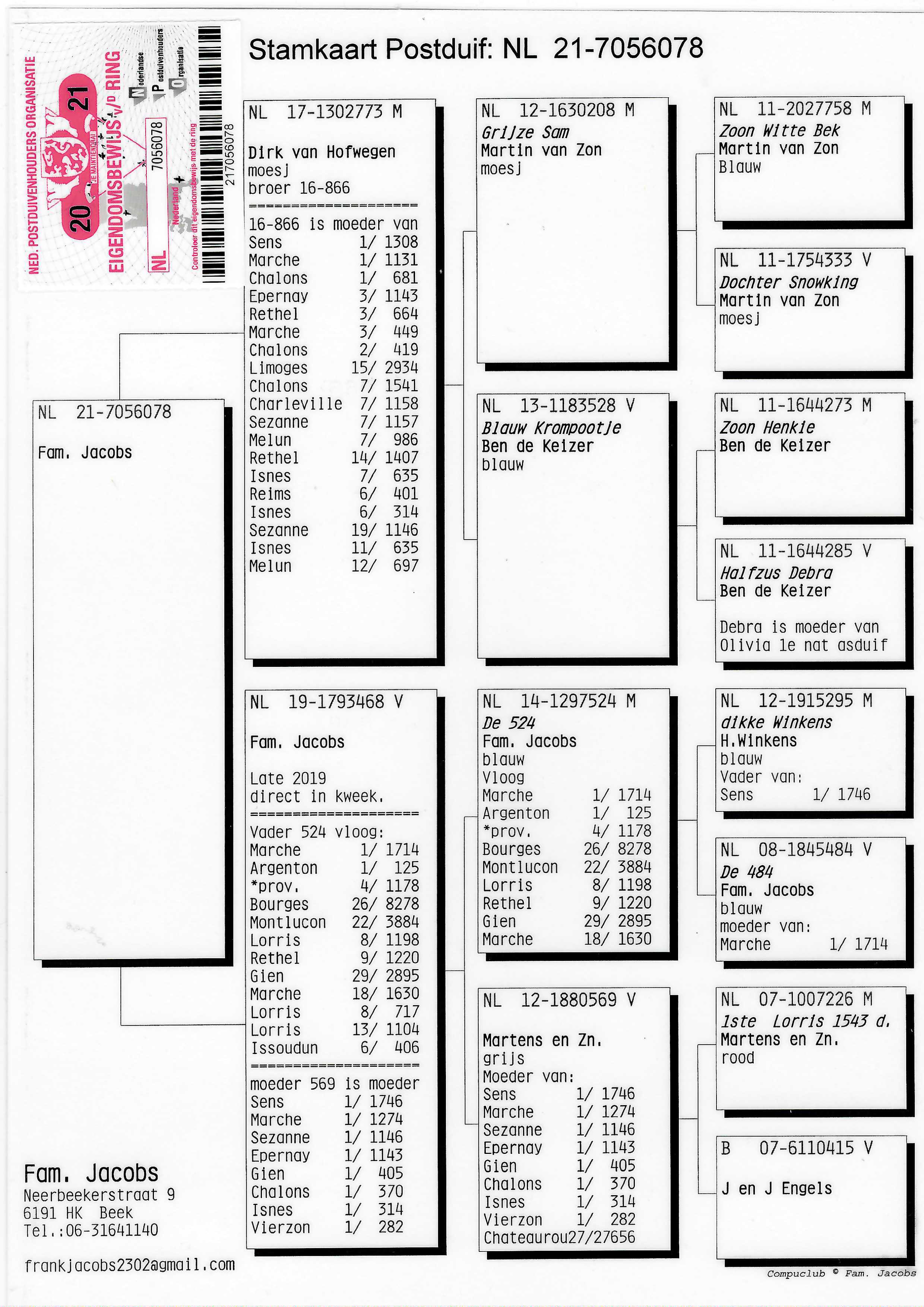 Pigeon pedigree image