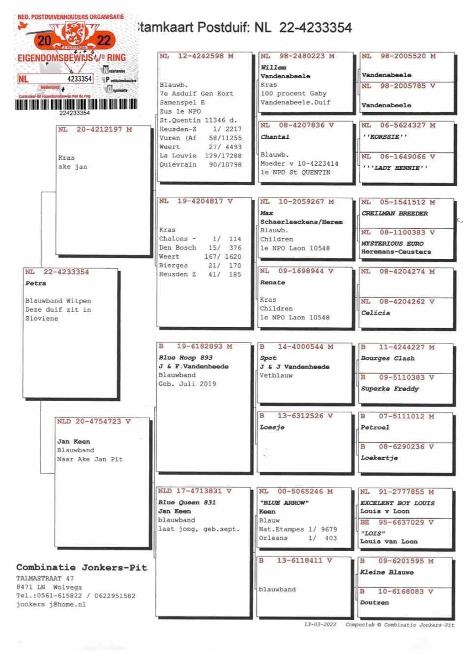 Pigeon pedigree image