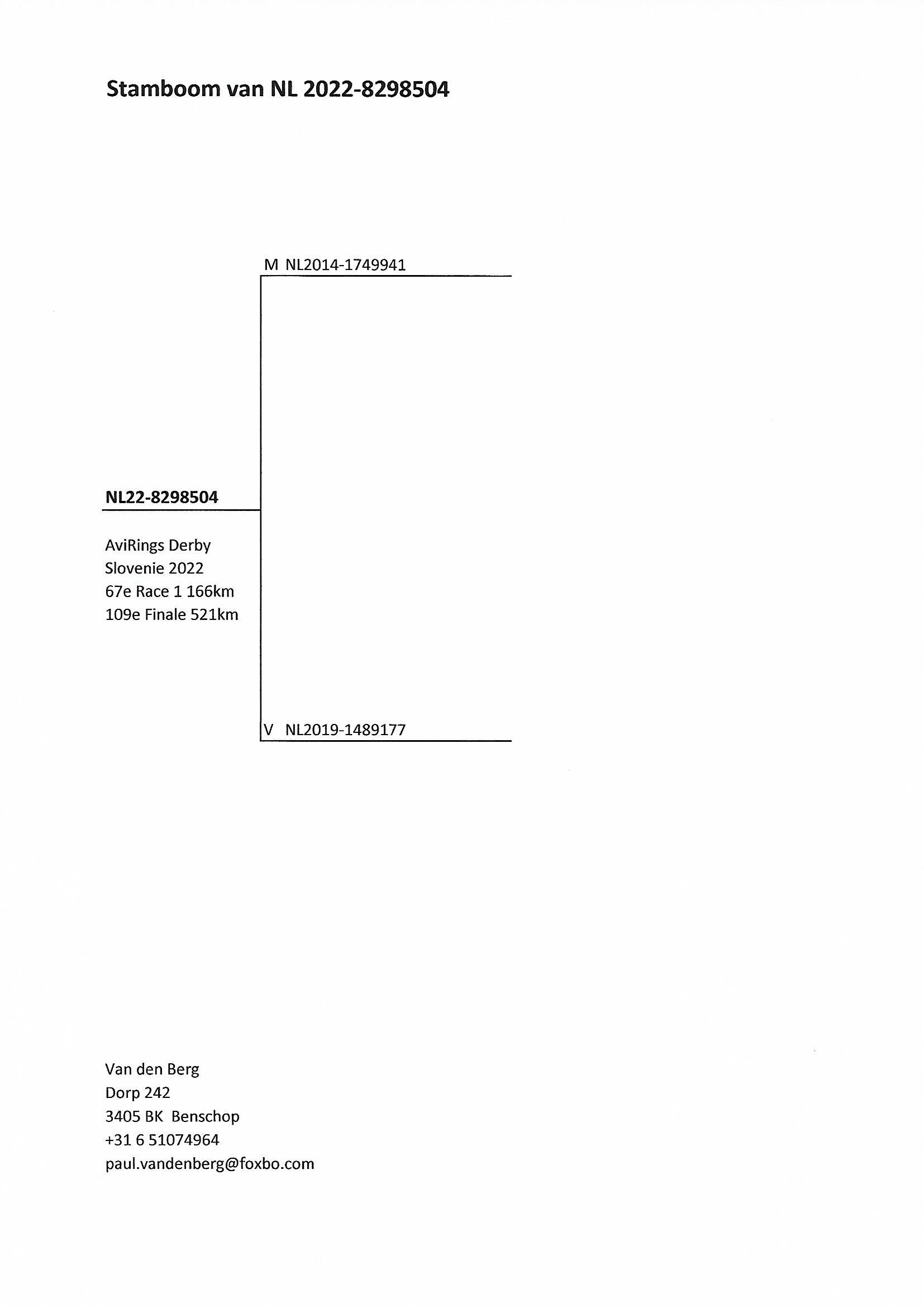 Pigeon pedigree image