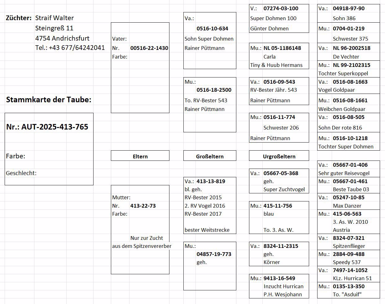 Pigeon pedigree image