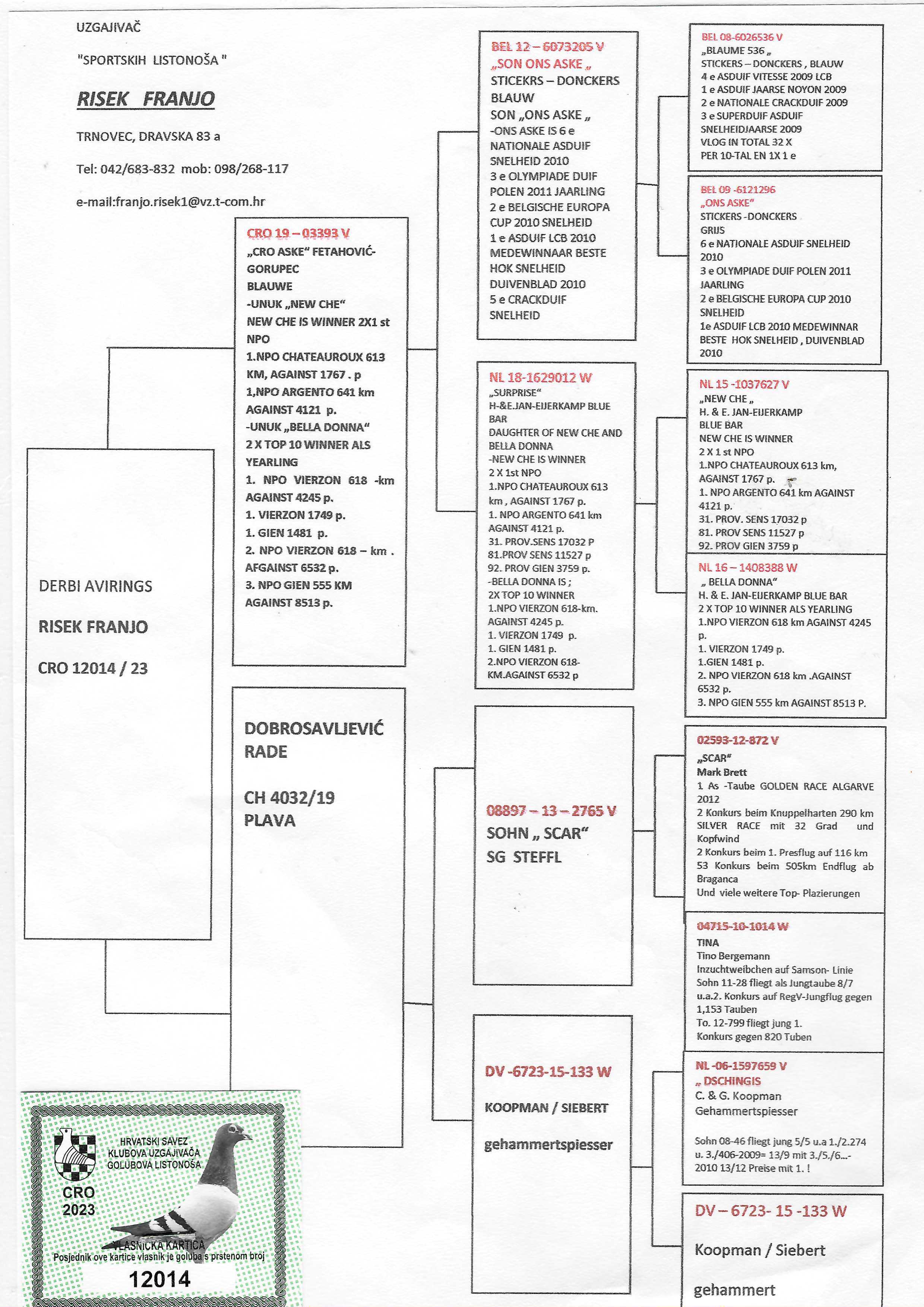 Pigeon pedigree image