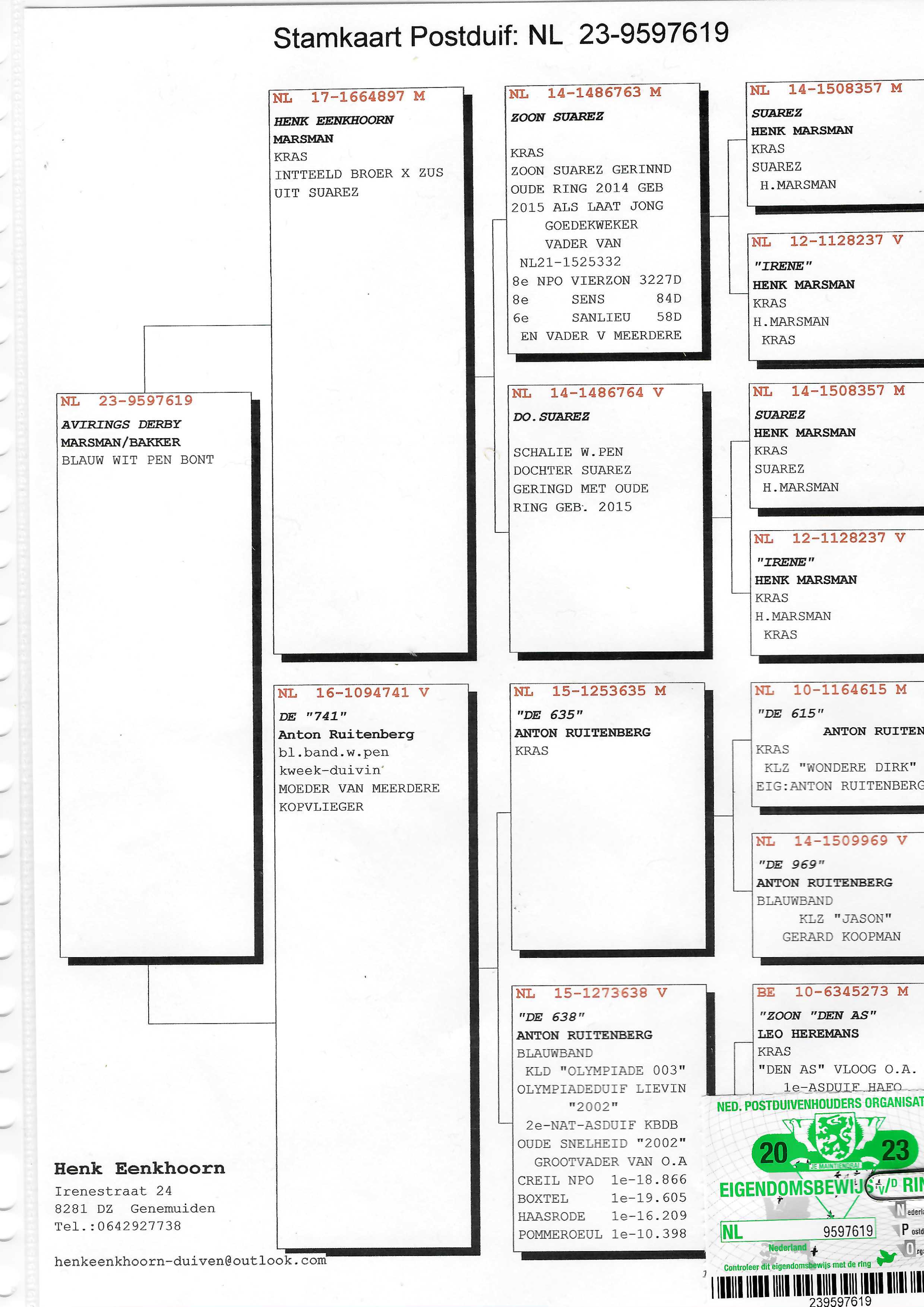 Pigeon pedigree image