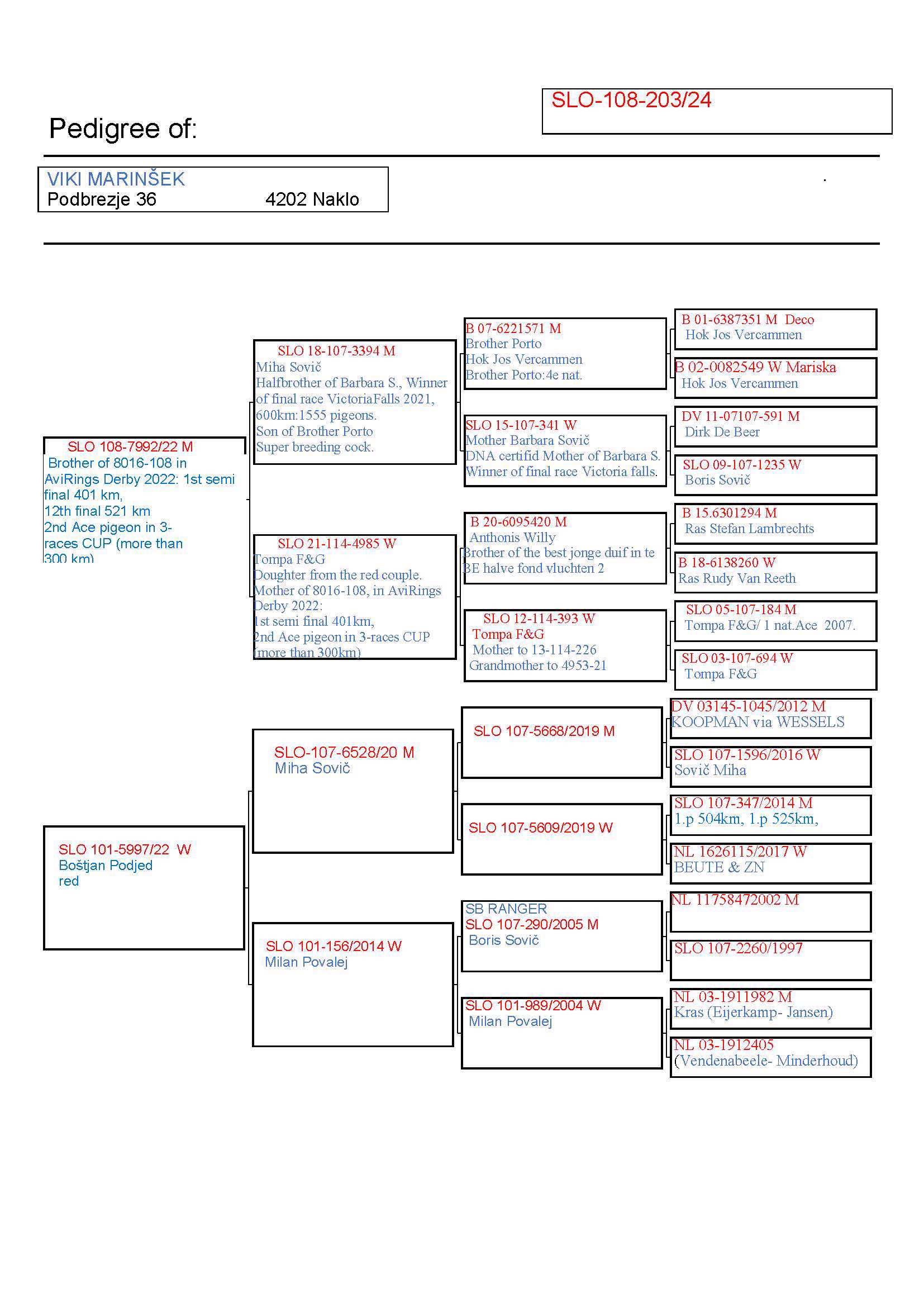 Pigeon pedigree image