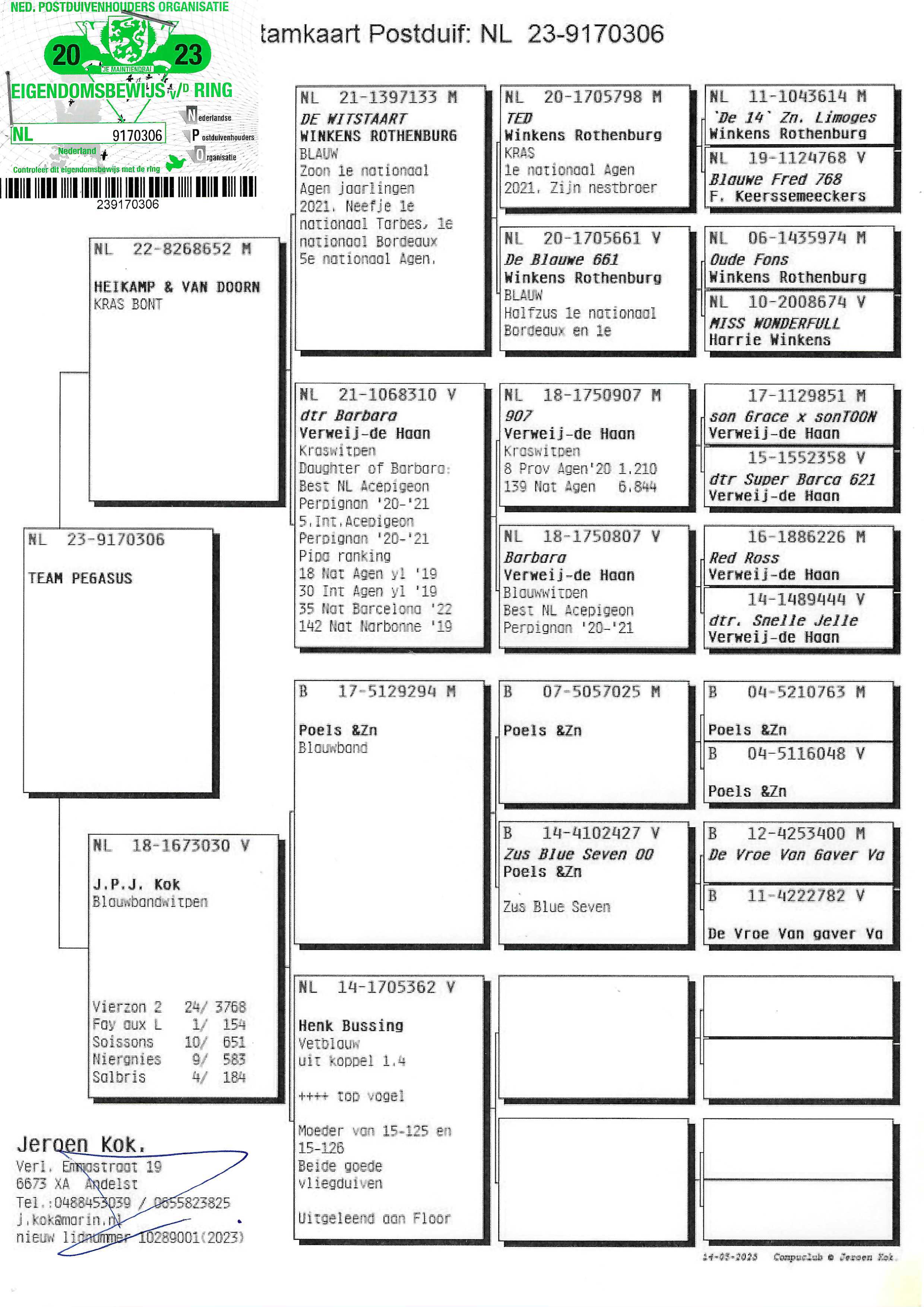Pigeon pedigree image