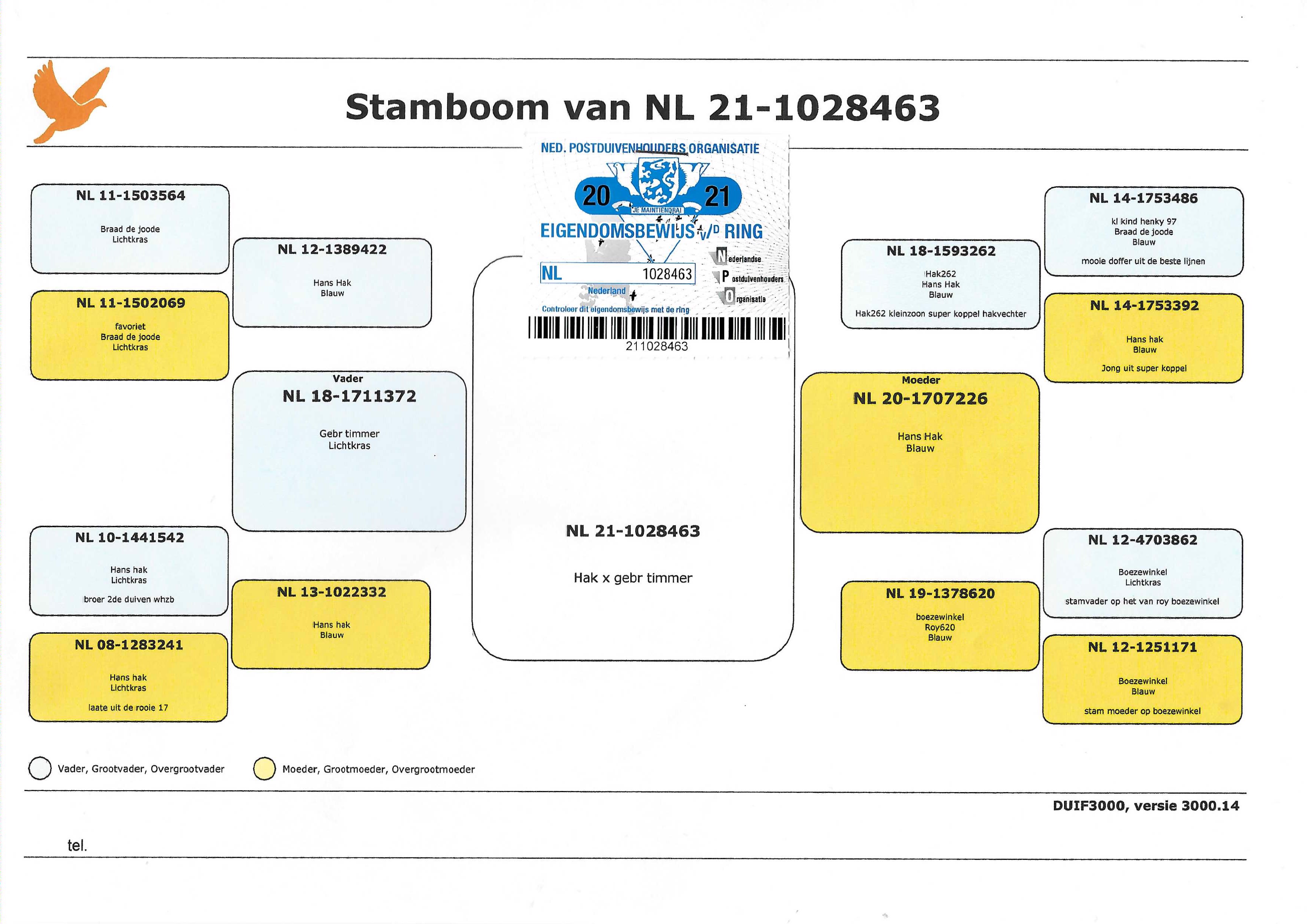 Pigeon pedigree image