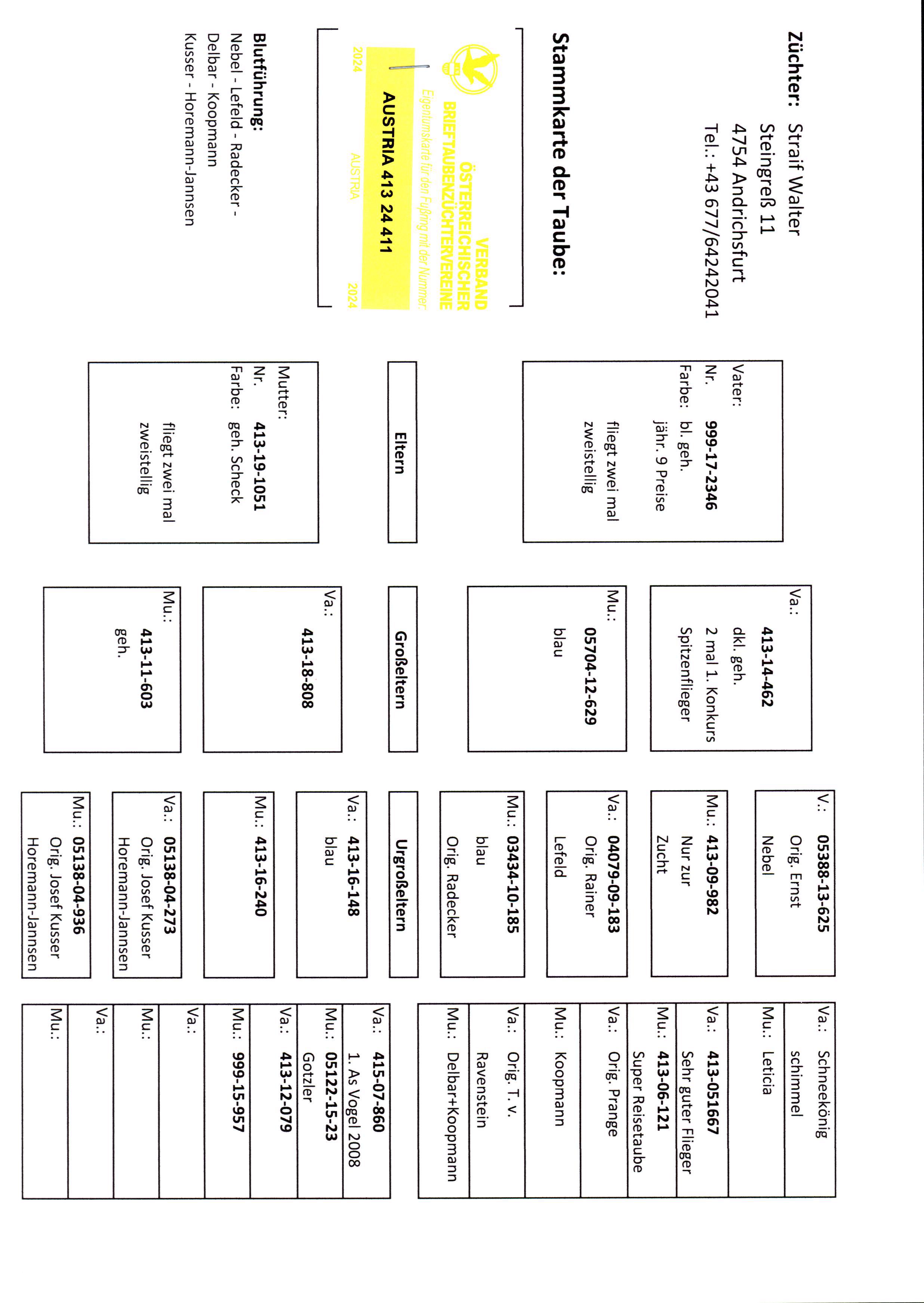 Pigeon pedigree image