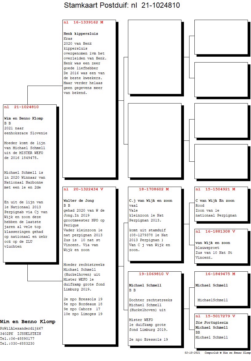 Pigeon pedigree image