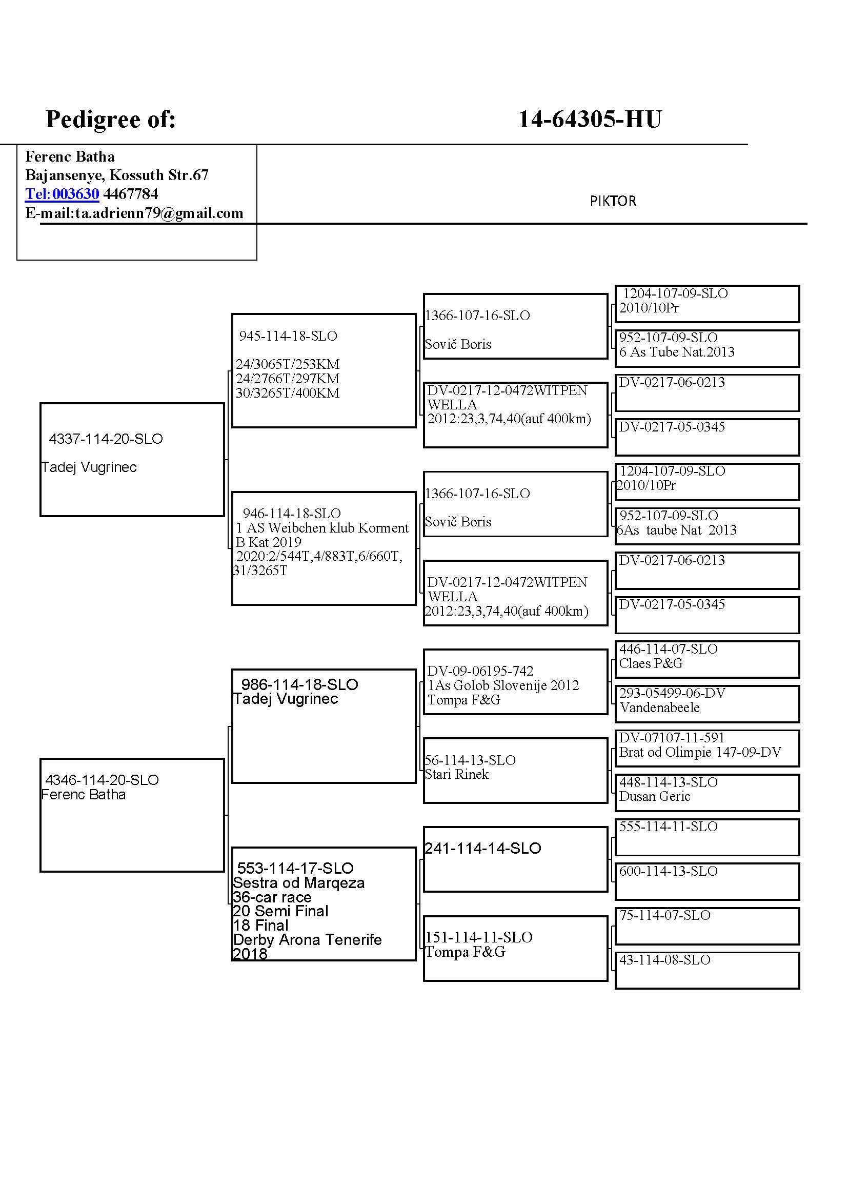 Pigeon pedigree image