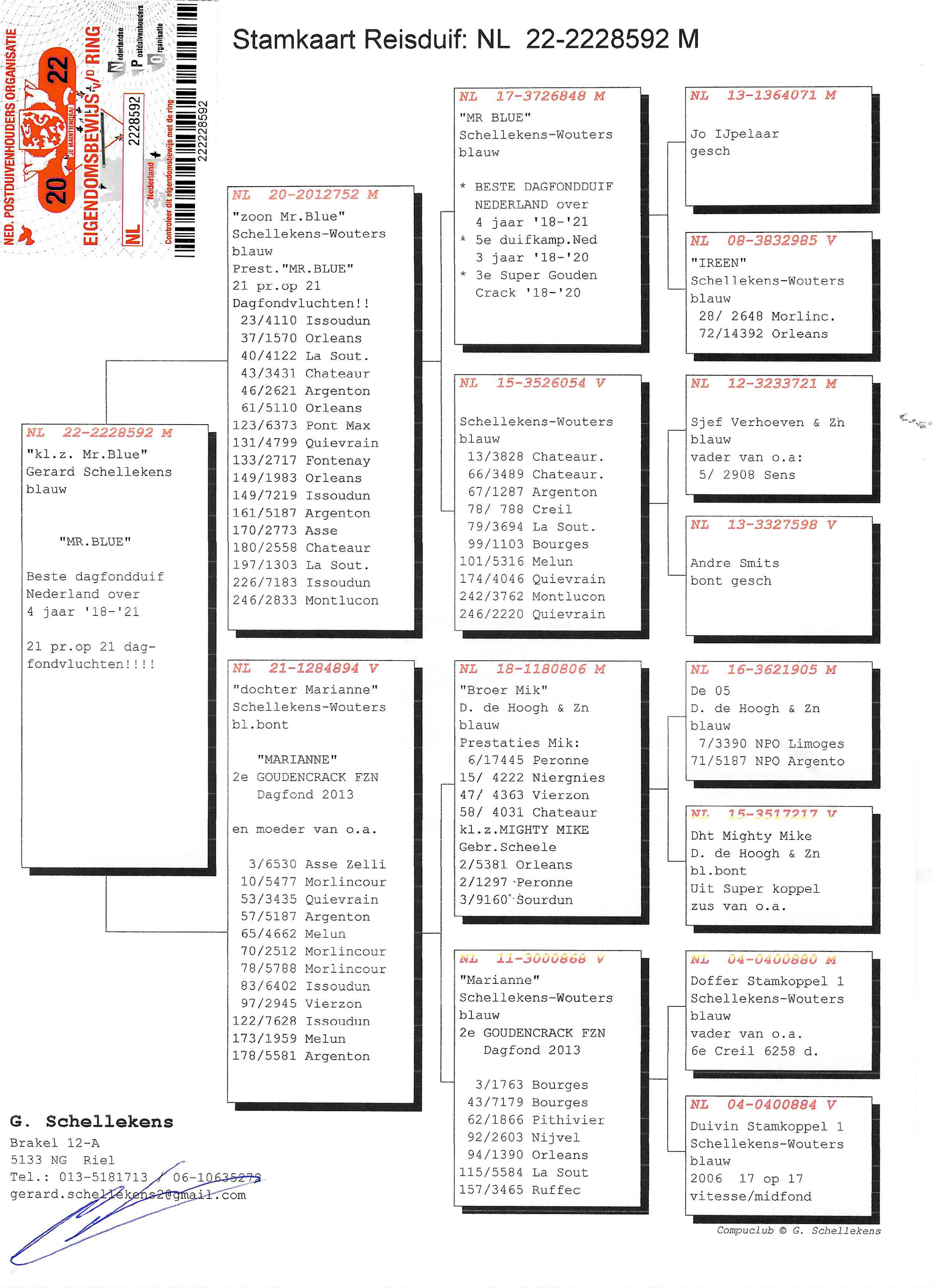 Pigeon pedigree image