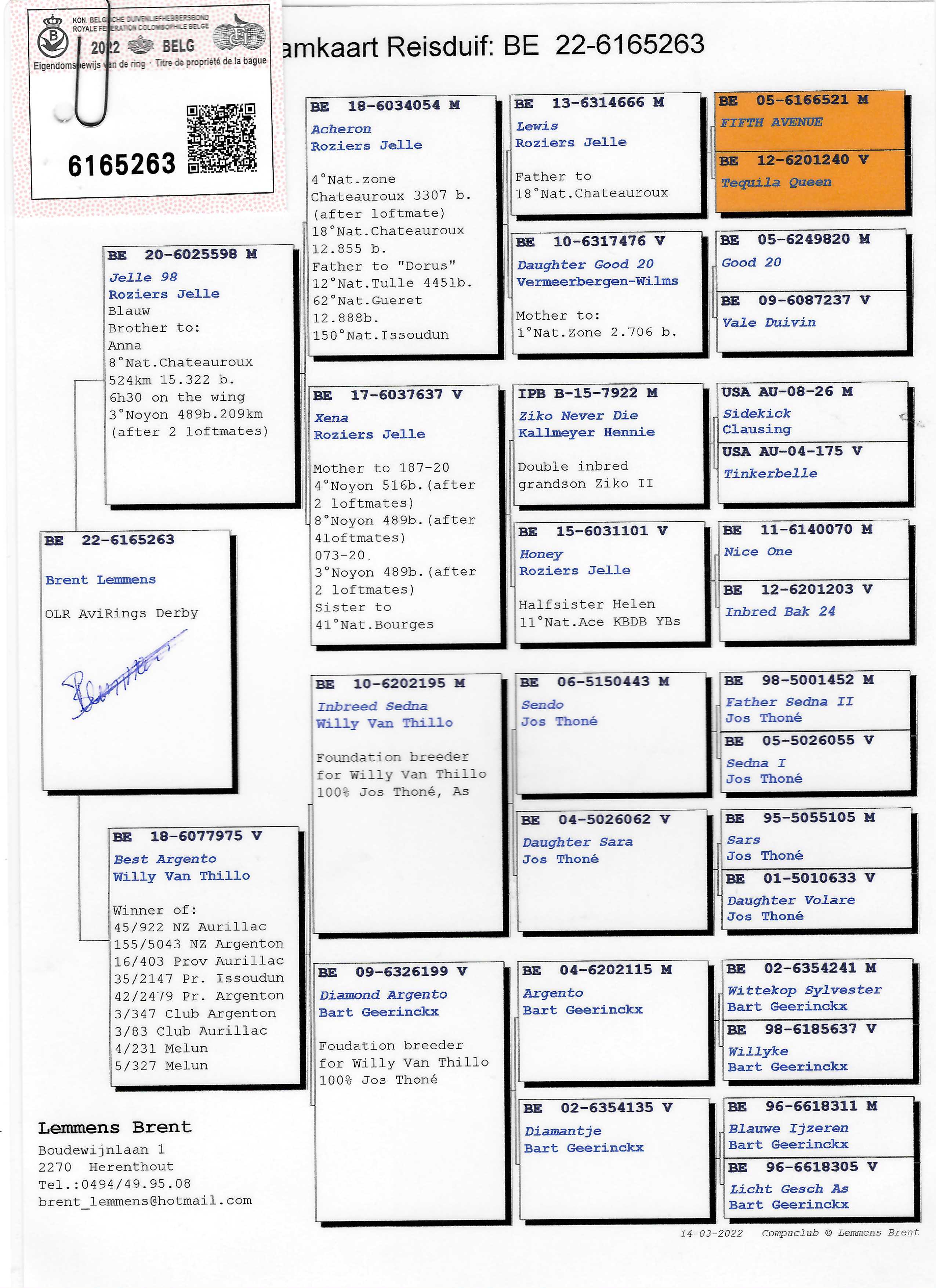 Pigeon pedigree image