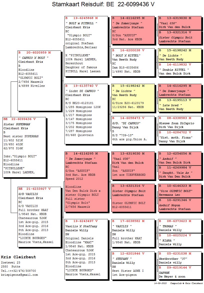 Pigeon pedigree image