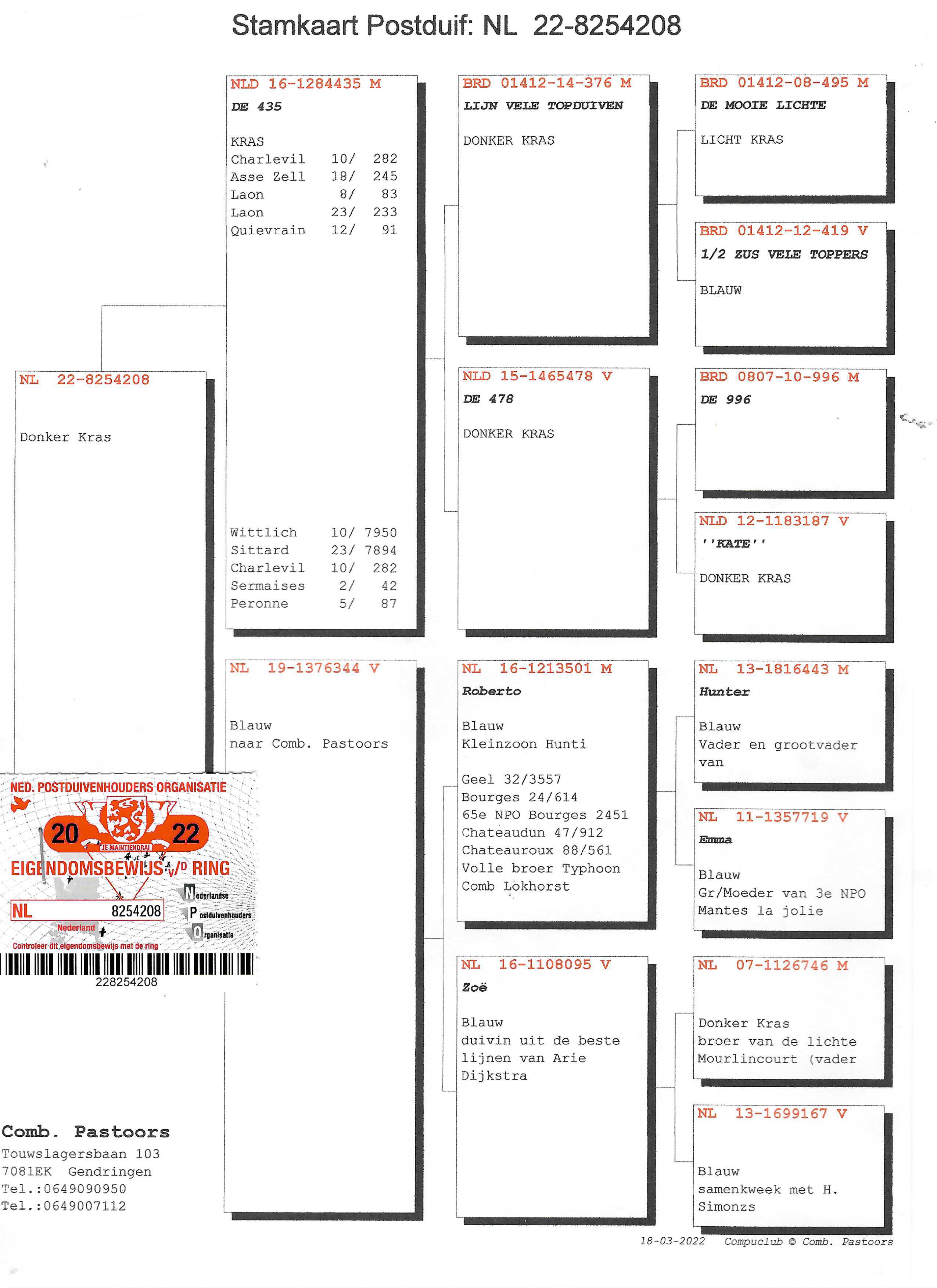 Pigeon pedigree image