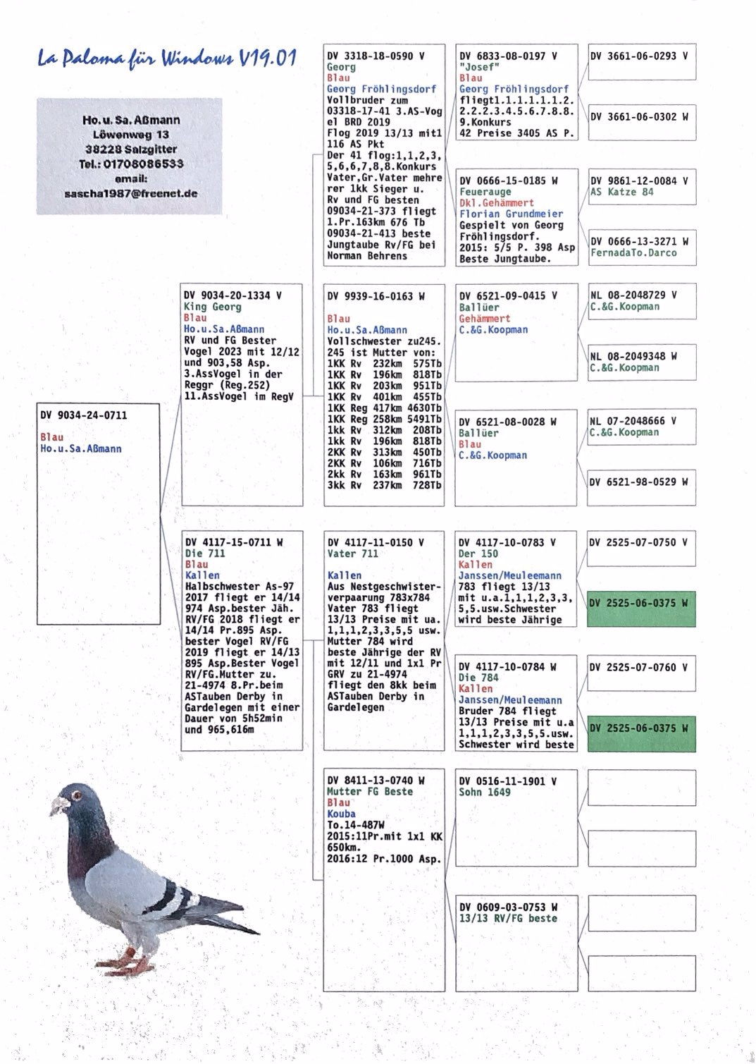 Pigeon pedigree image