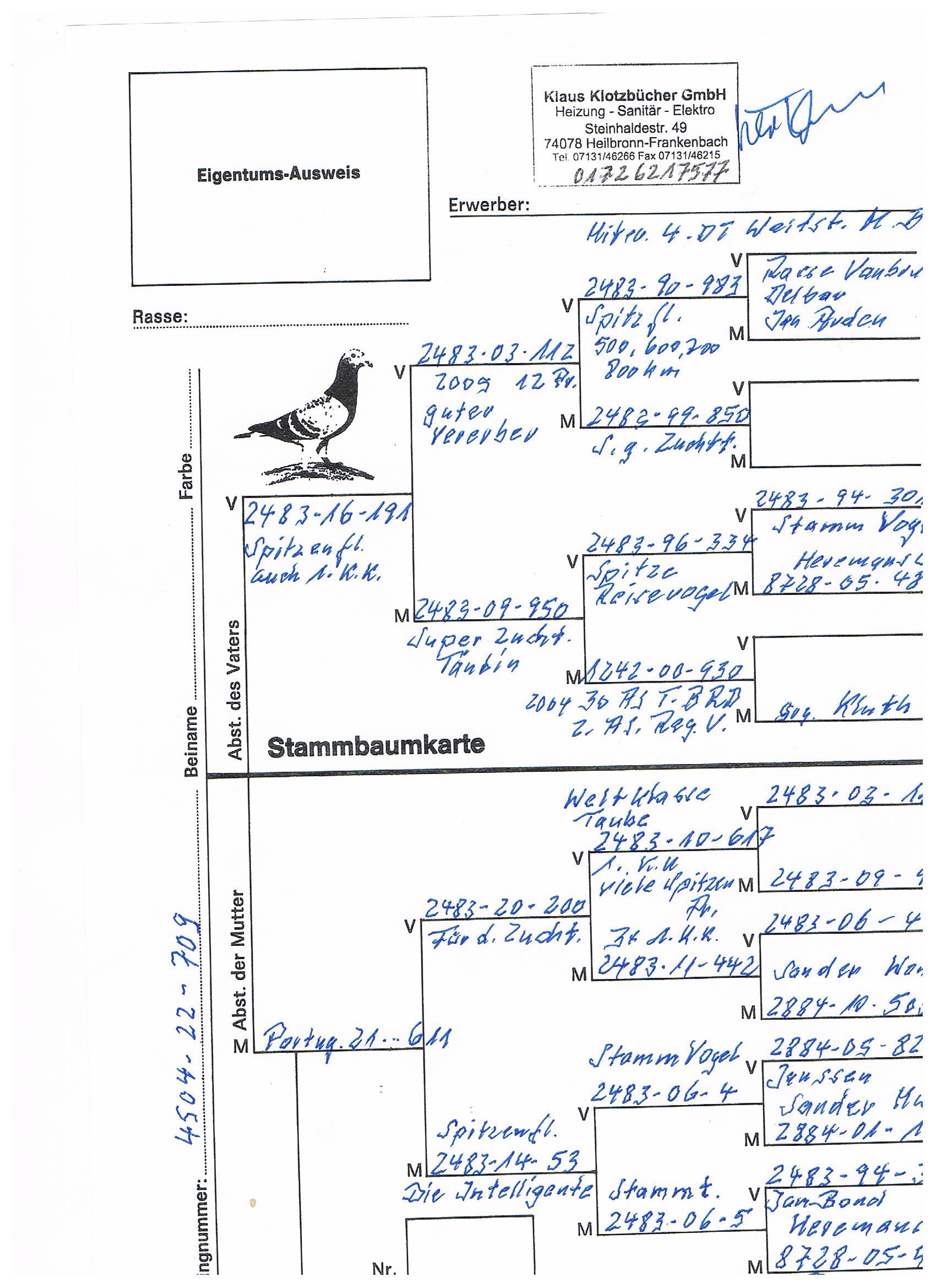 Pigeon pedigree image