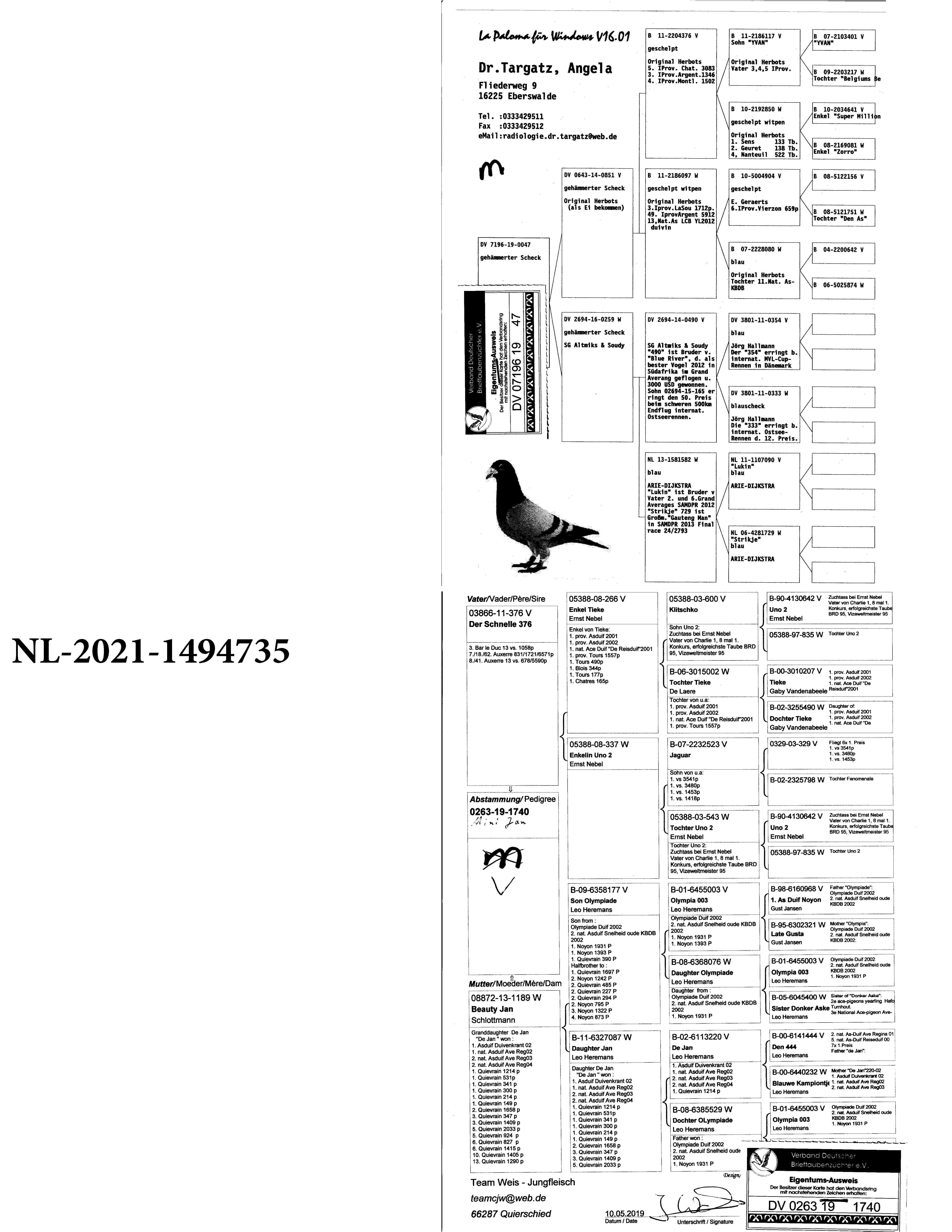 Pigeon pedigree image