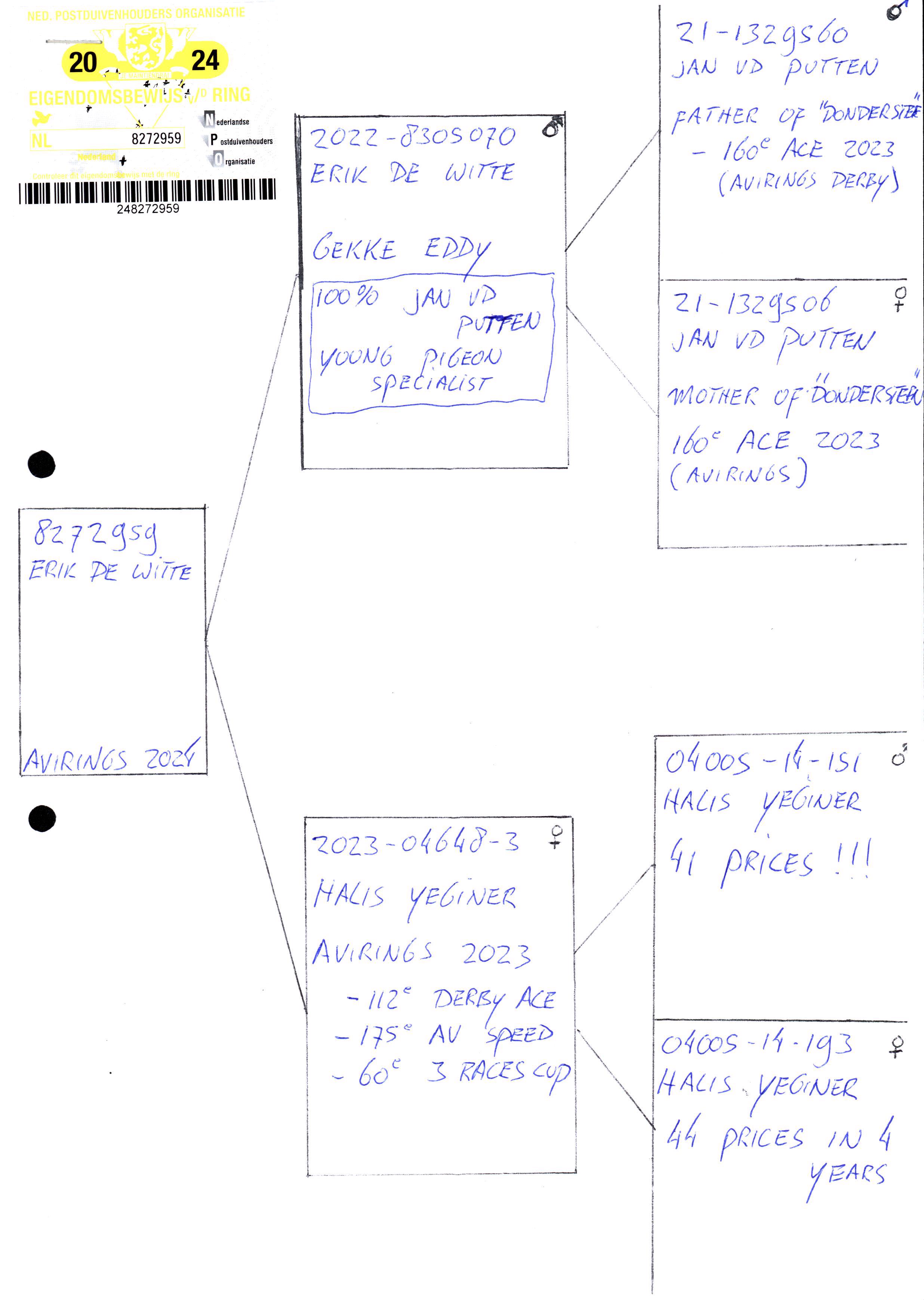 Pigeon pedigree image