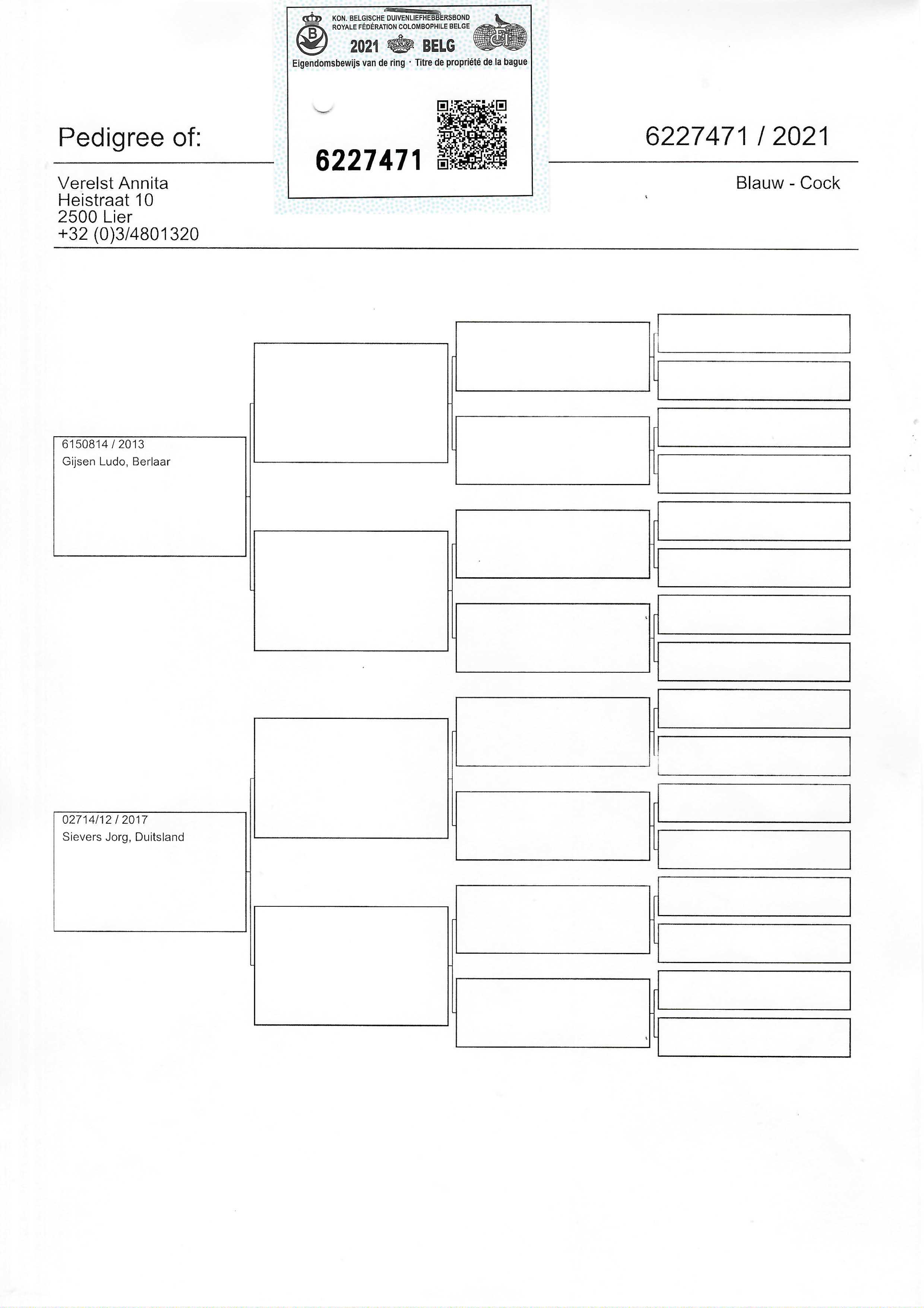 Pigeon pedigree image