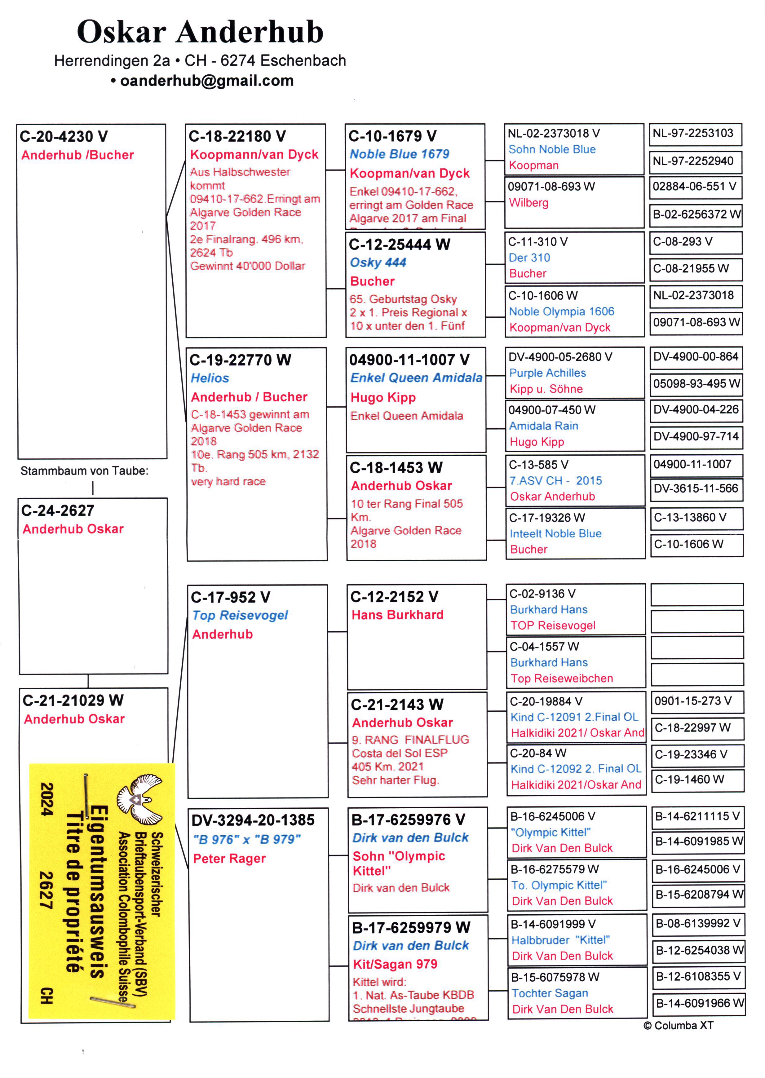 Pigeon pedigree image