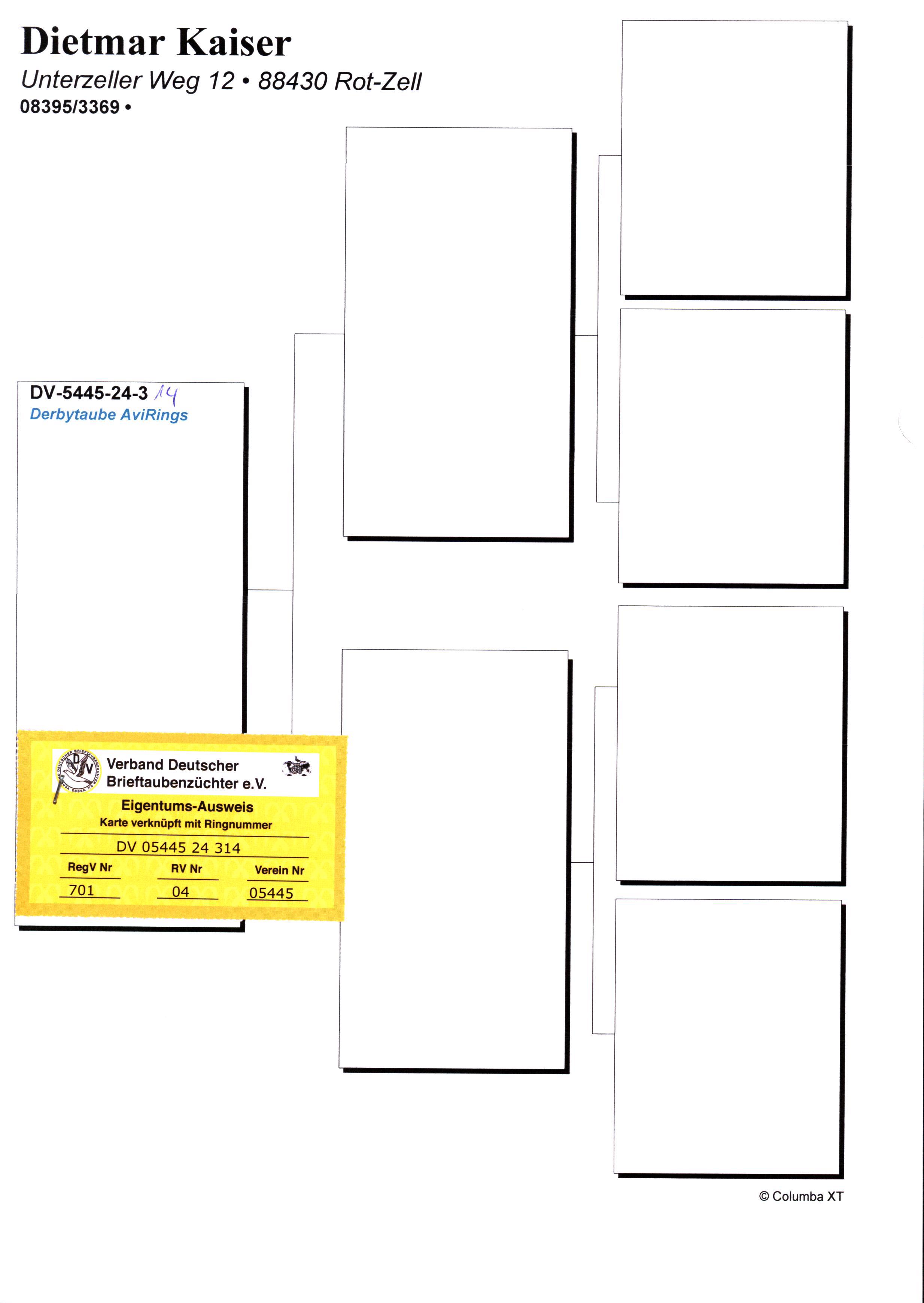 Pigeon pedigree image