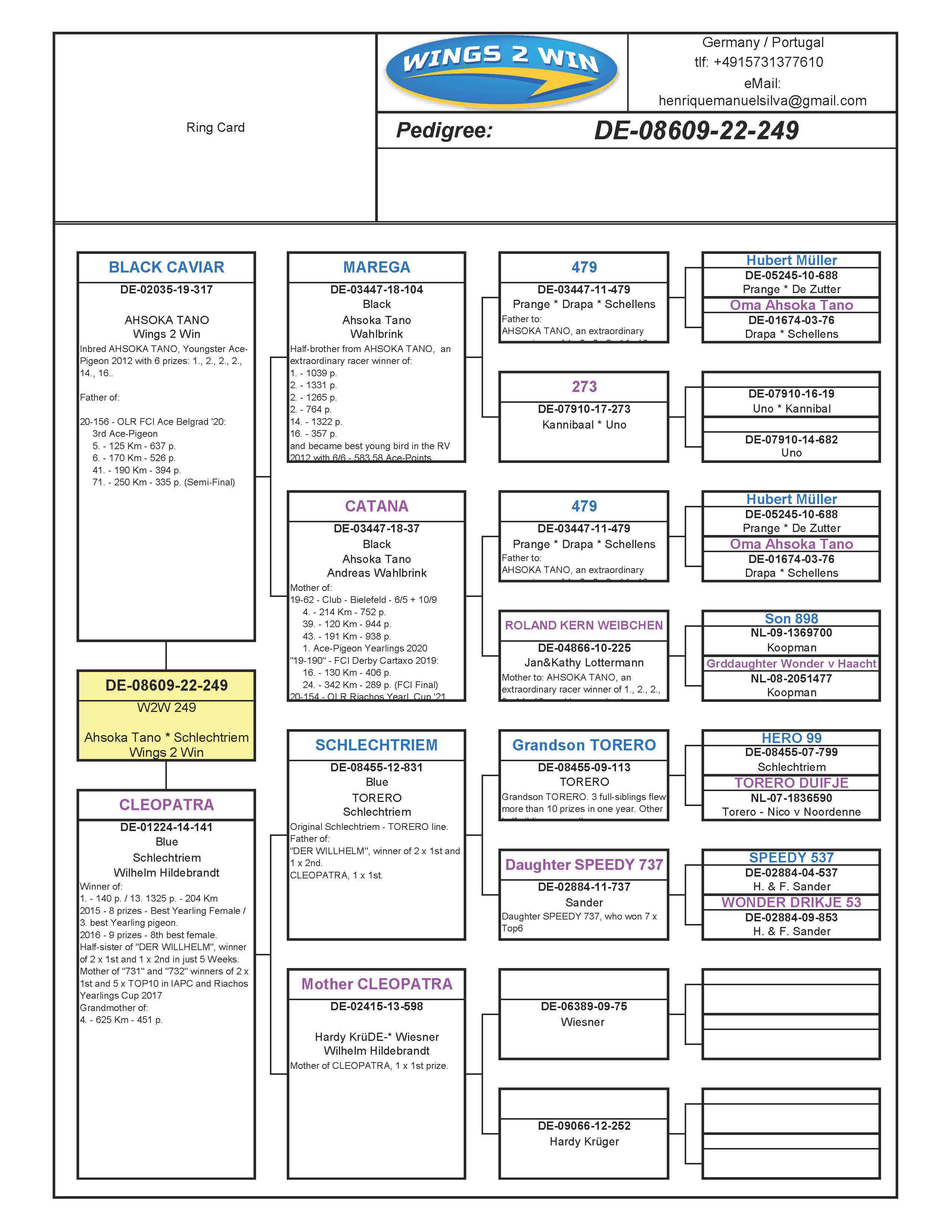 Pigeon pedigree image