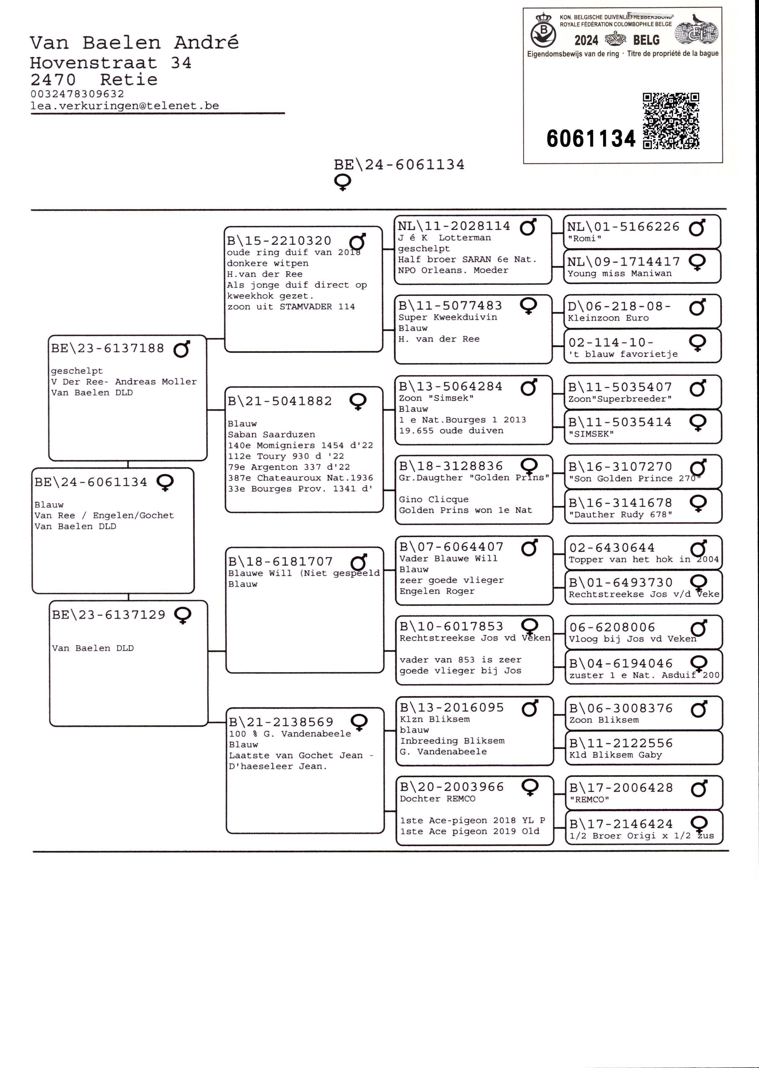Pigeon pedigree image