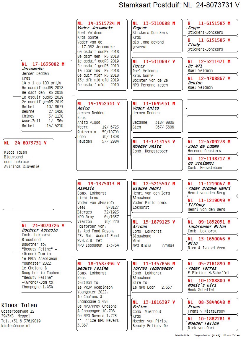 Pigeon pedigree image