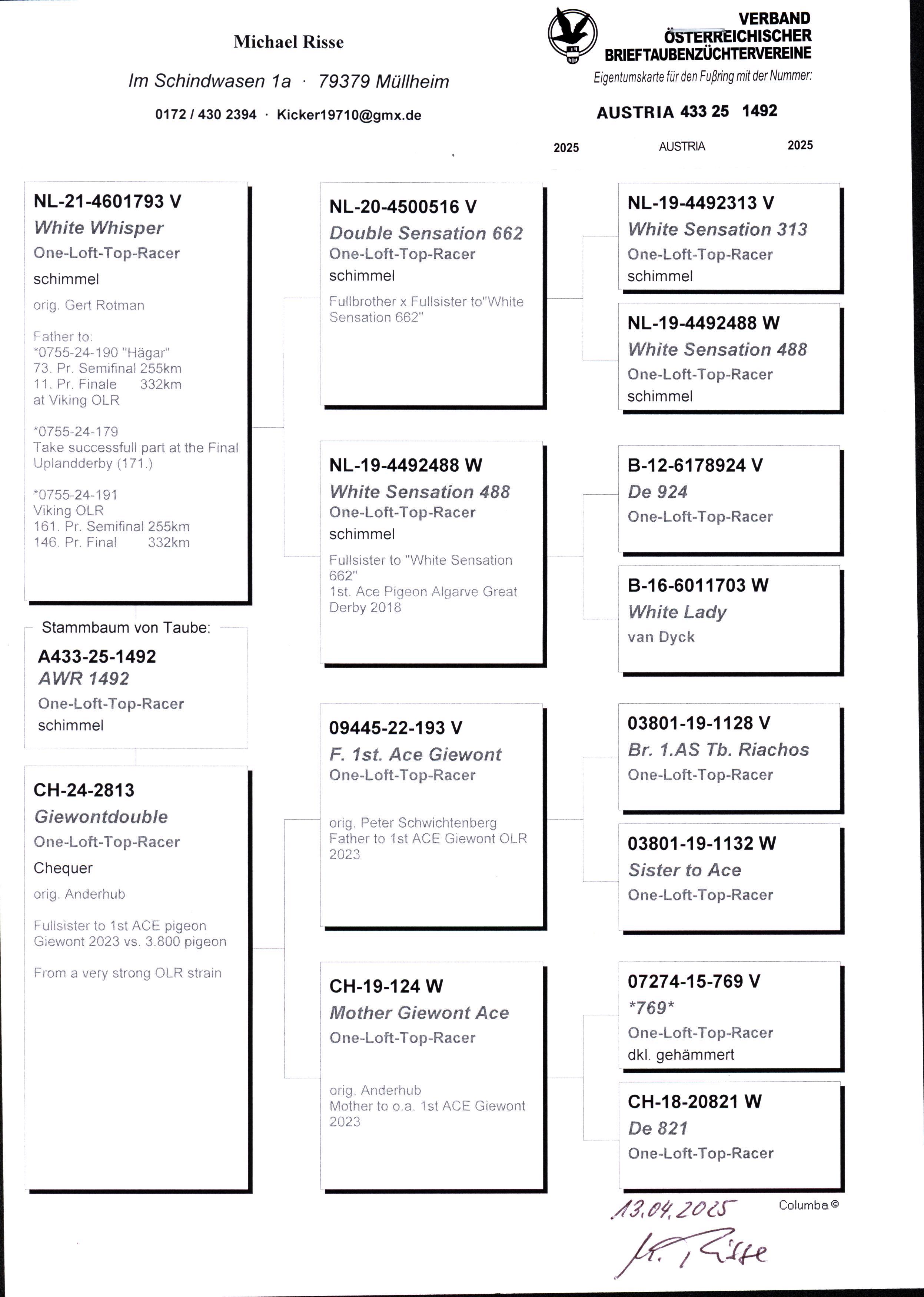 Pigeon pedigree image
