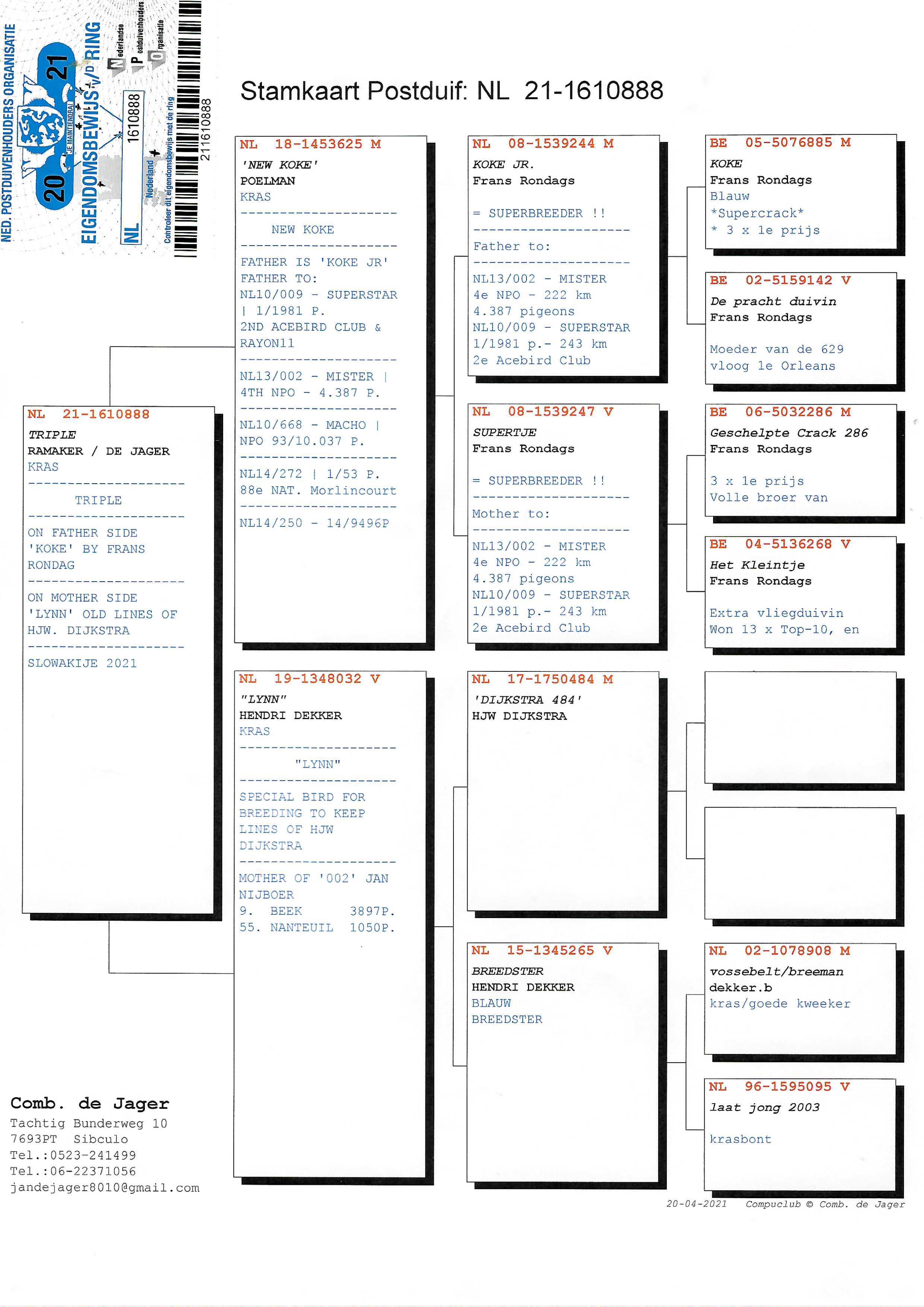 Pigeon pedigree image