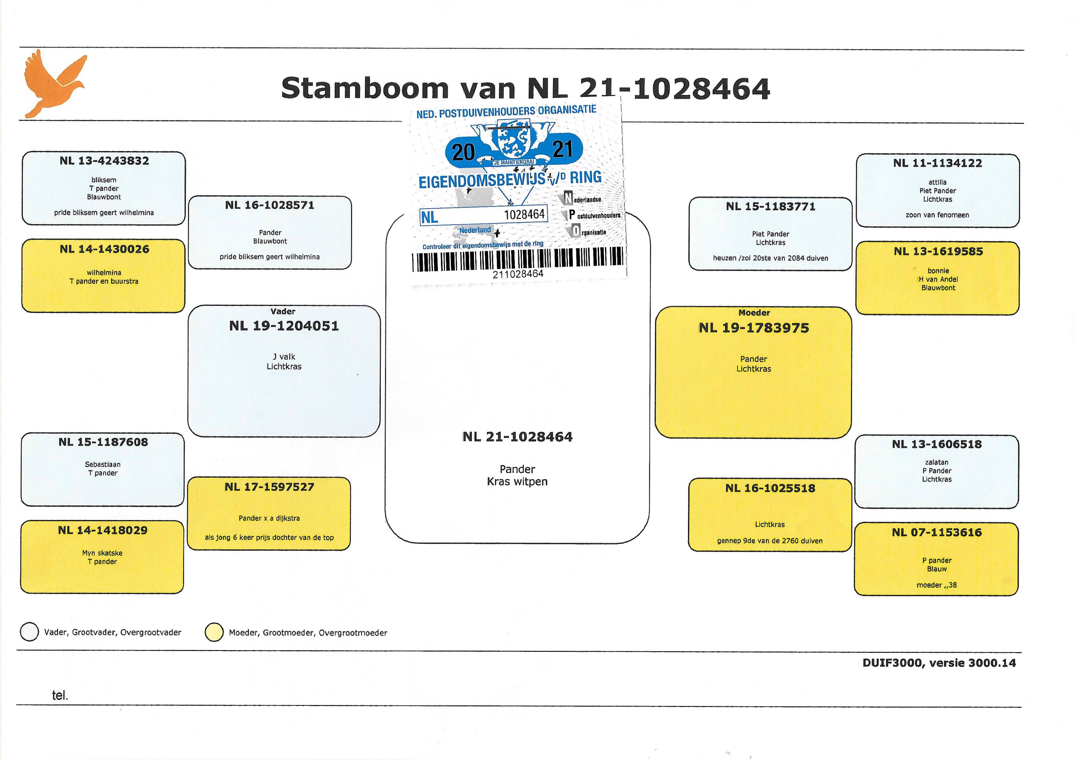 Pigeon pedigree image