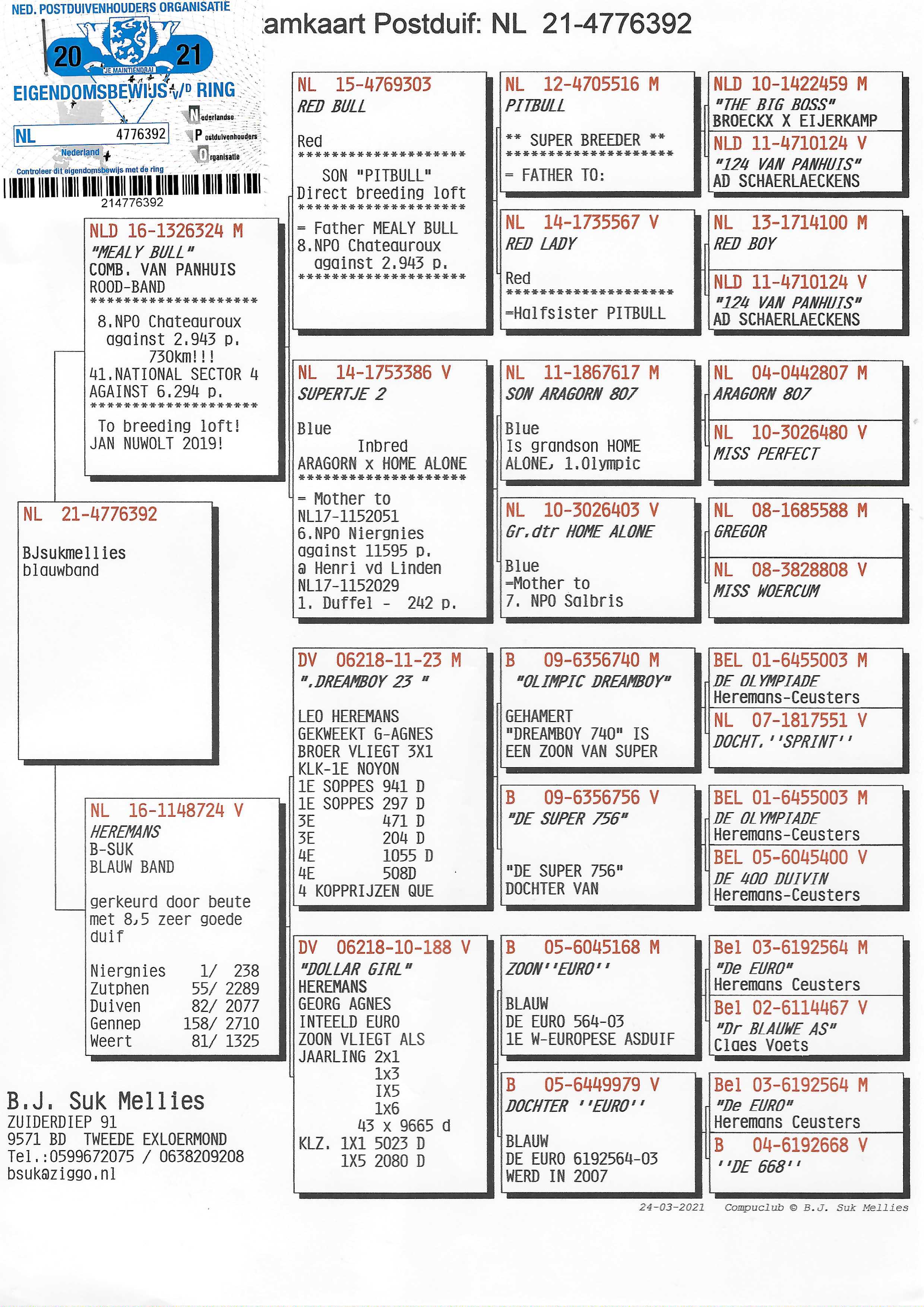 Pigeon pedigree image