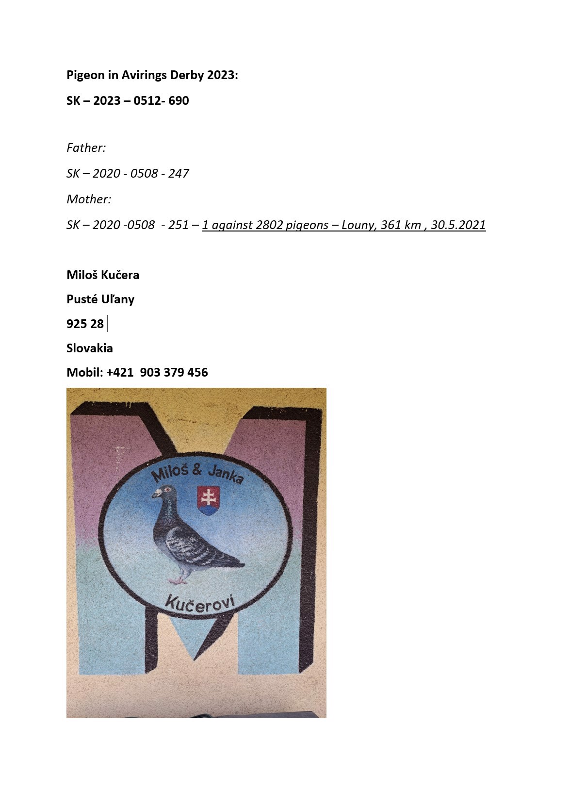 Pigeon pedigree image