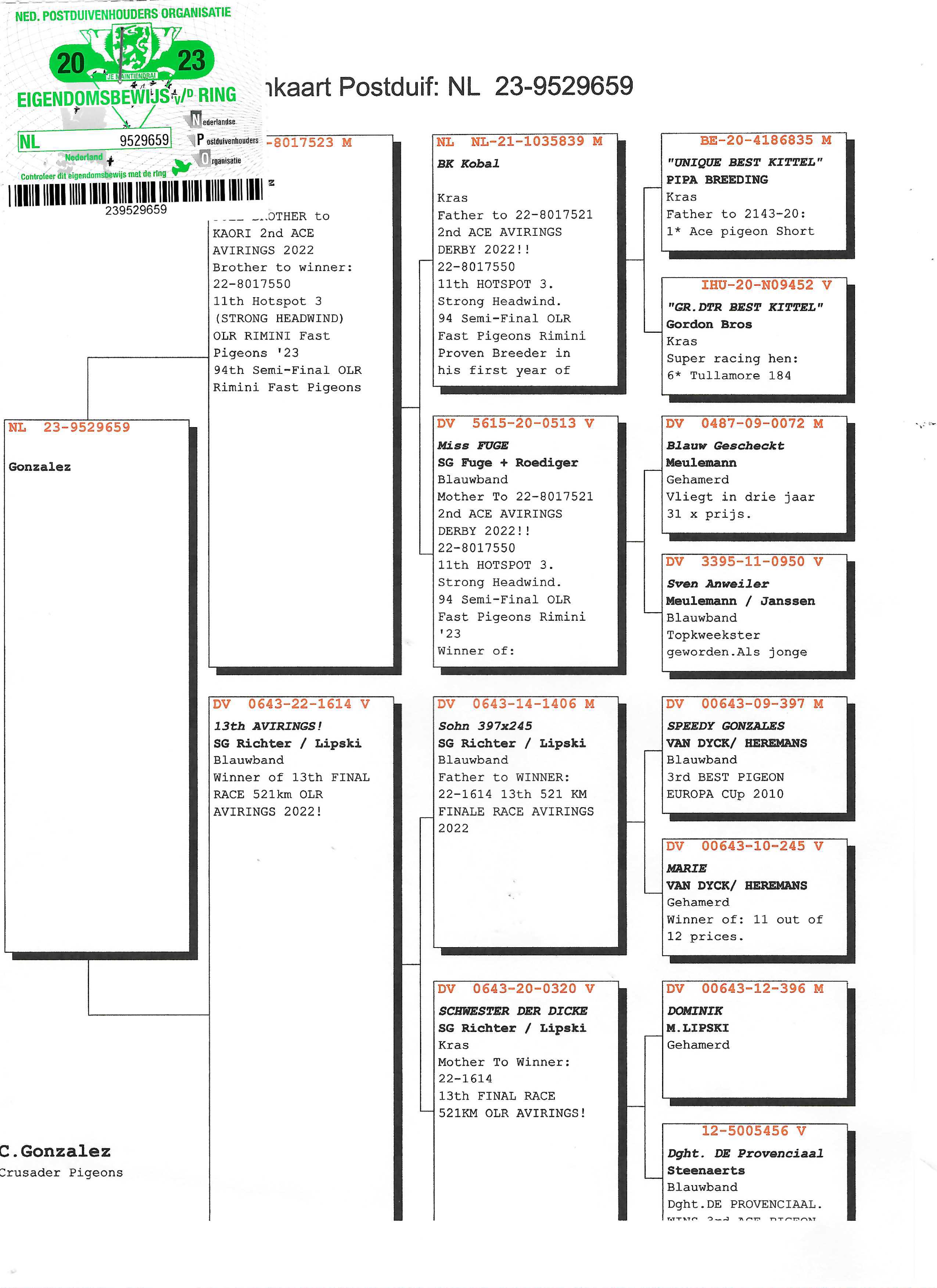 Pigeon pedigree image