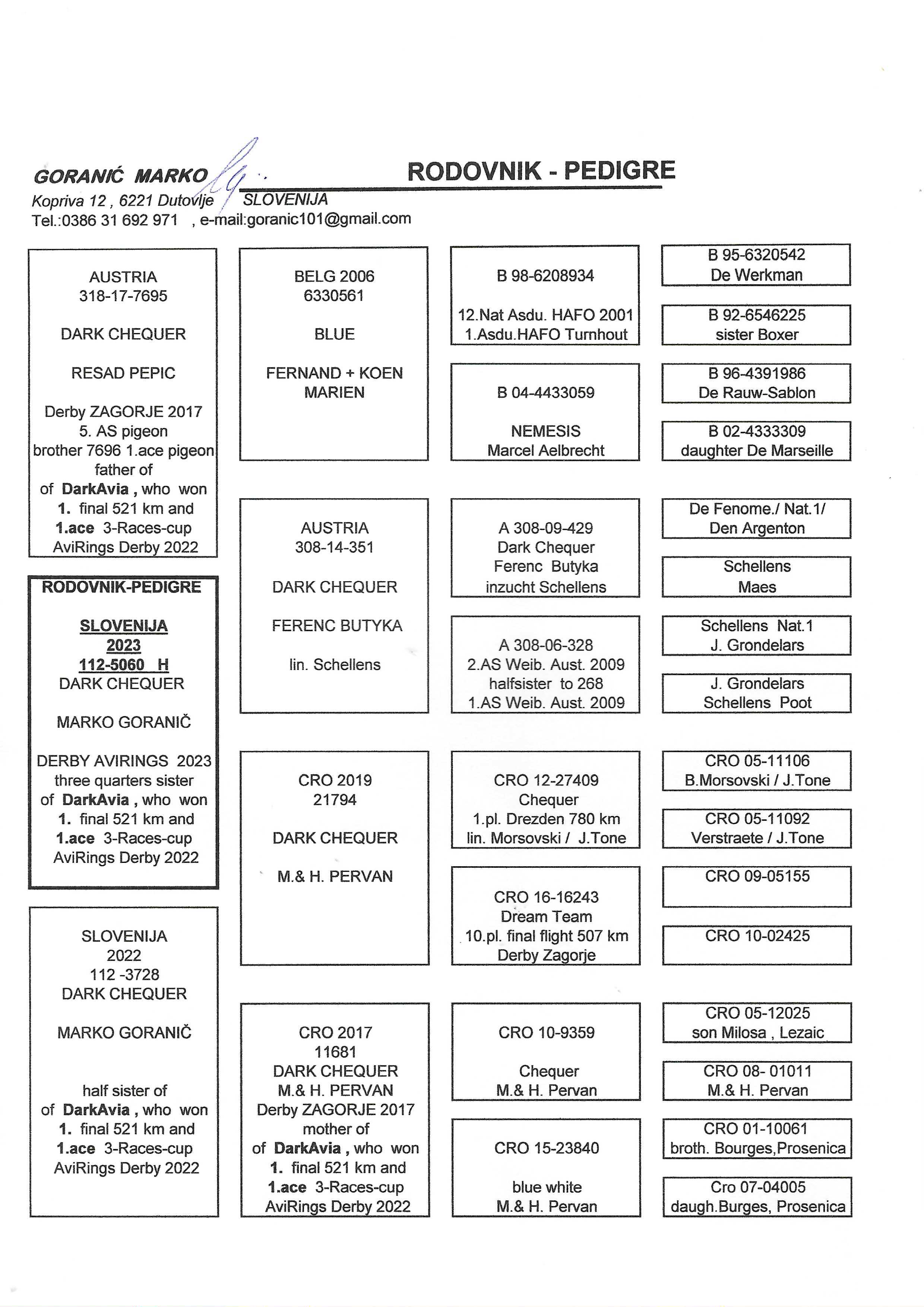 Pigeon pedigree image
