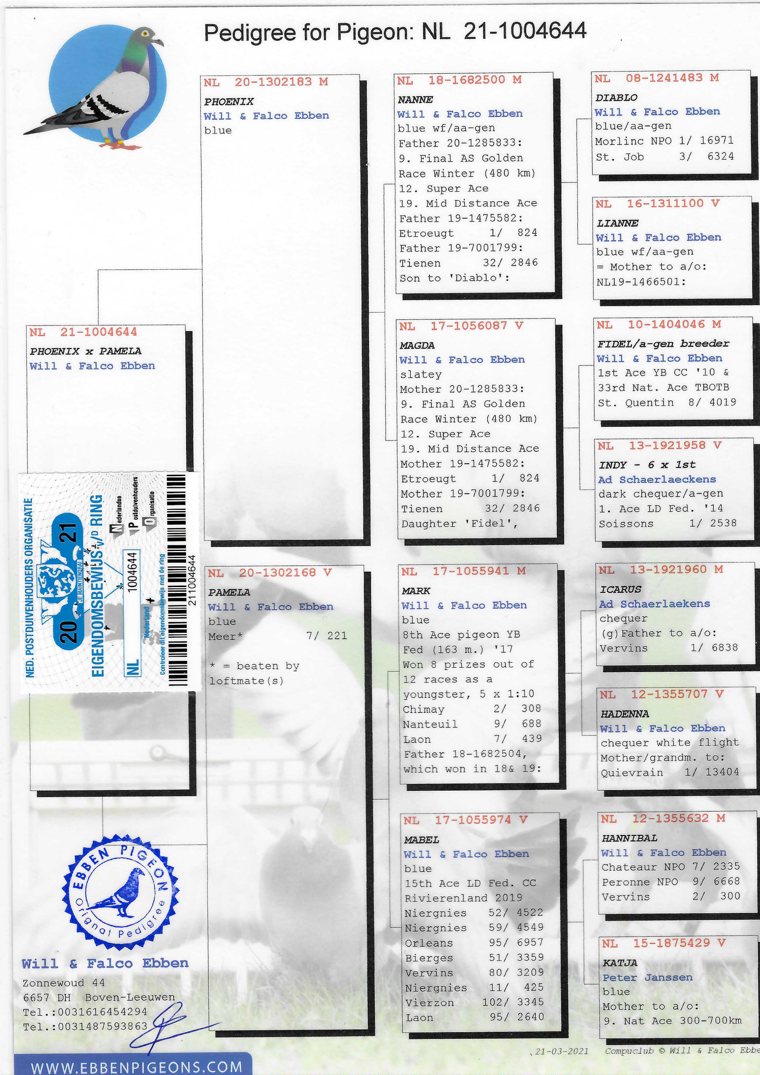 Pigeon pedigree image