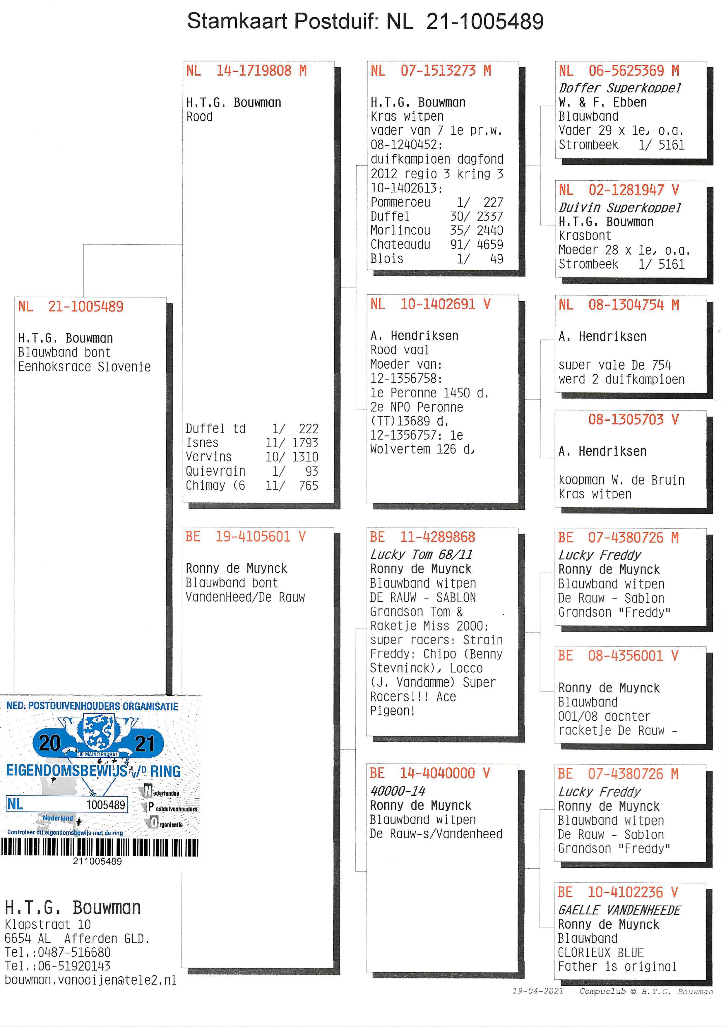 Pigeon pedigree image