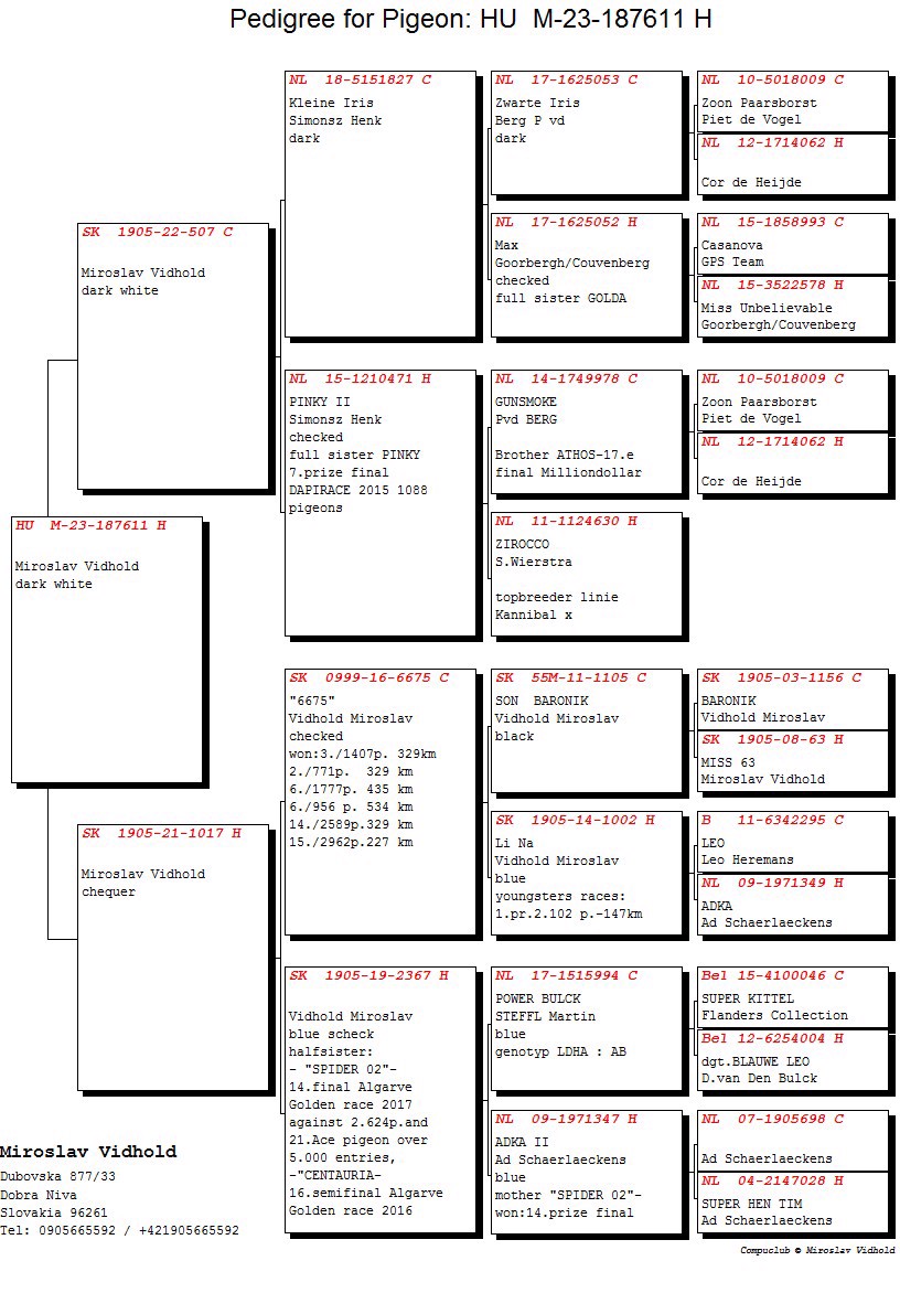 Pigeon pedigree image