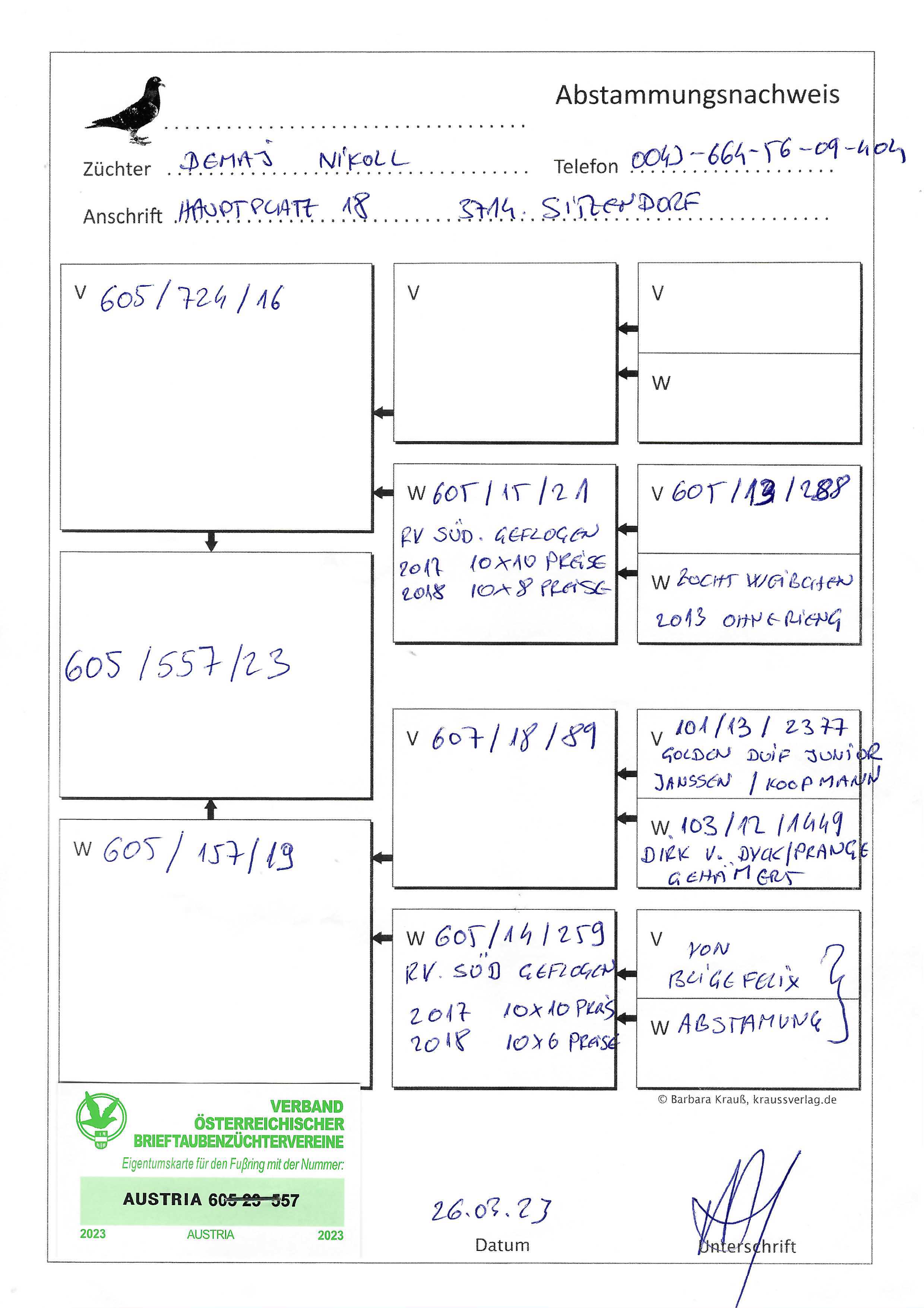 Pigeon pedigree image