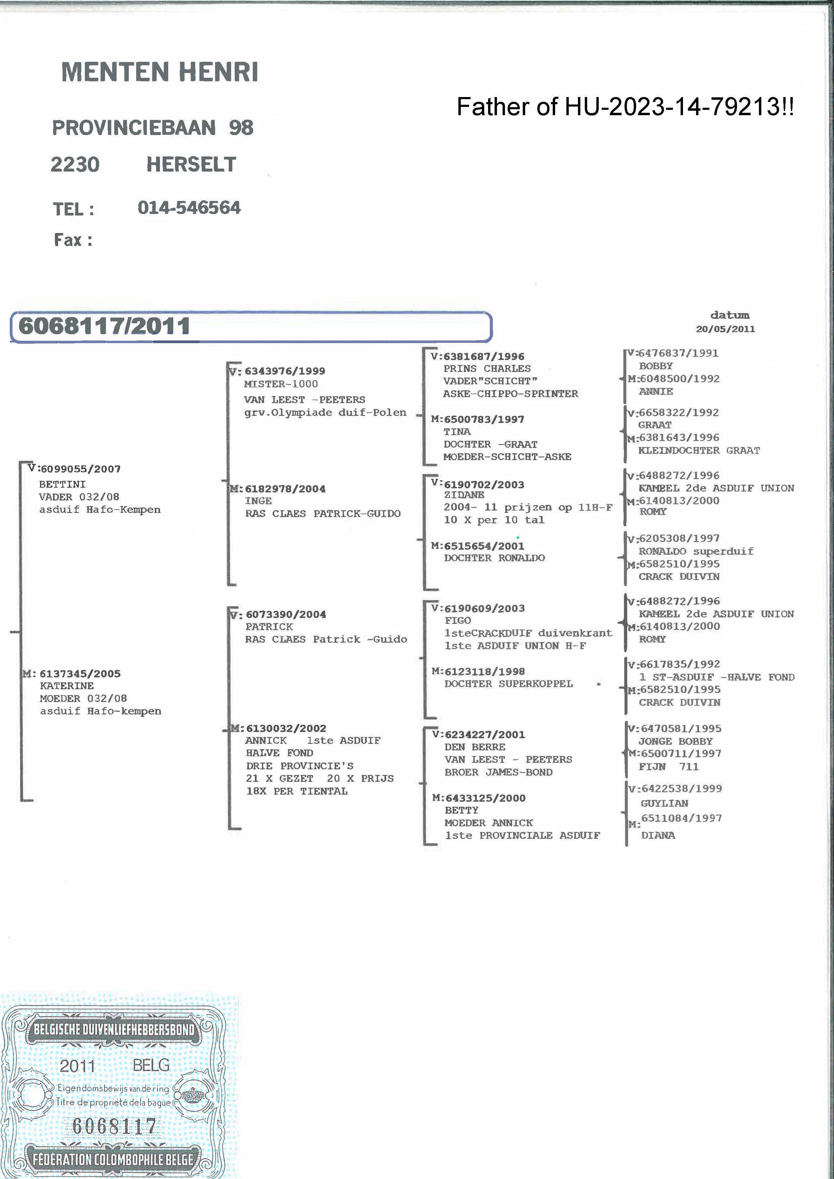 Pigeon pedigree image