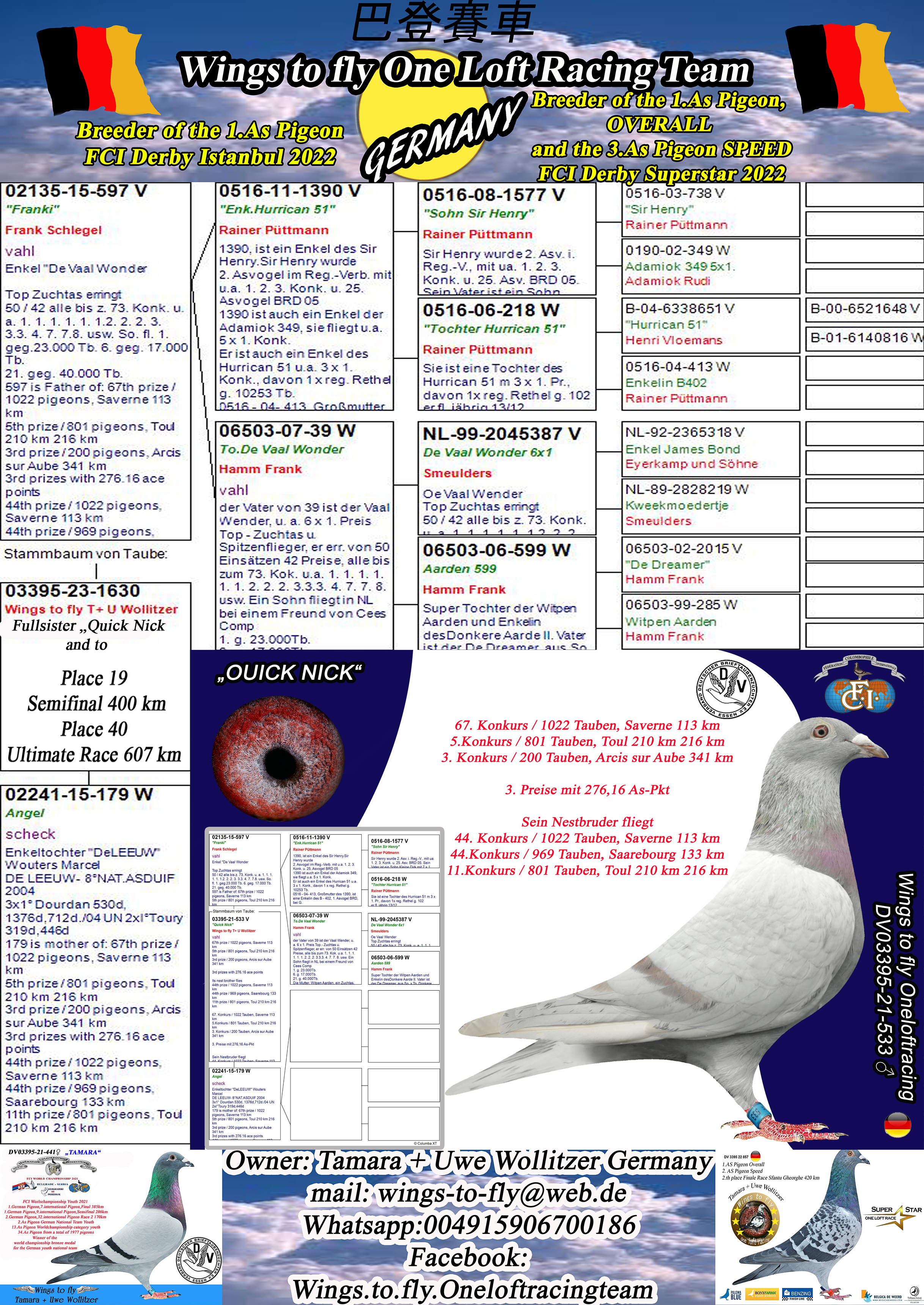 Pigeon pedigree image