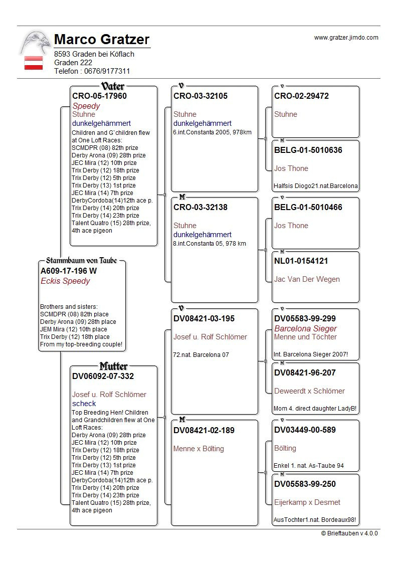 Pigeon pedigree image