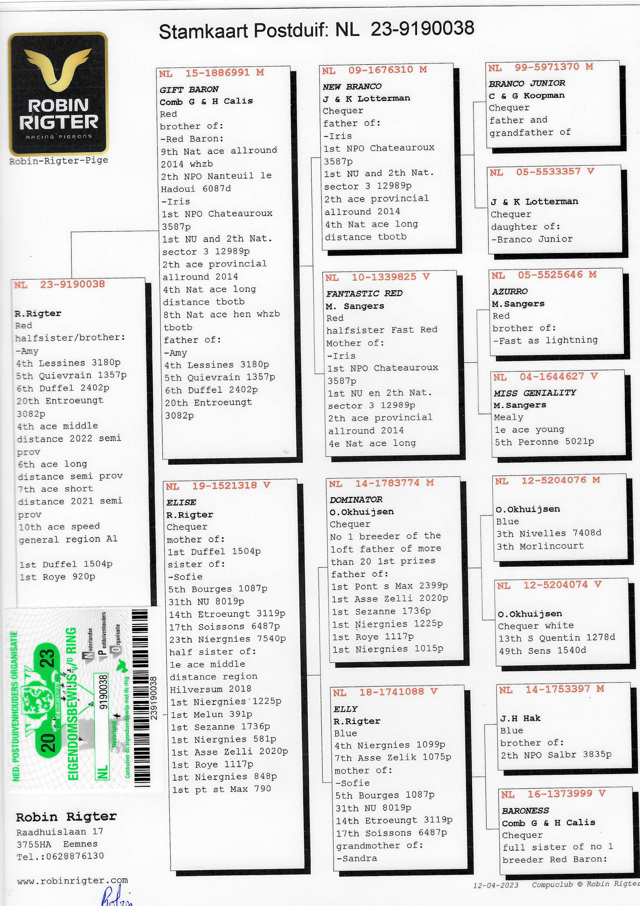 Pigeon pedigree image