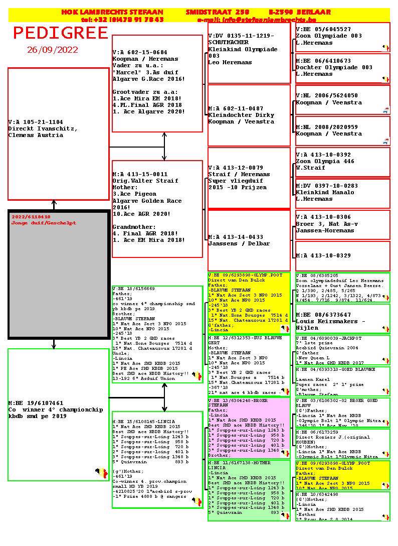 Pigeon pedigree image