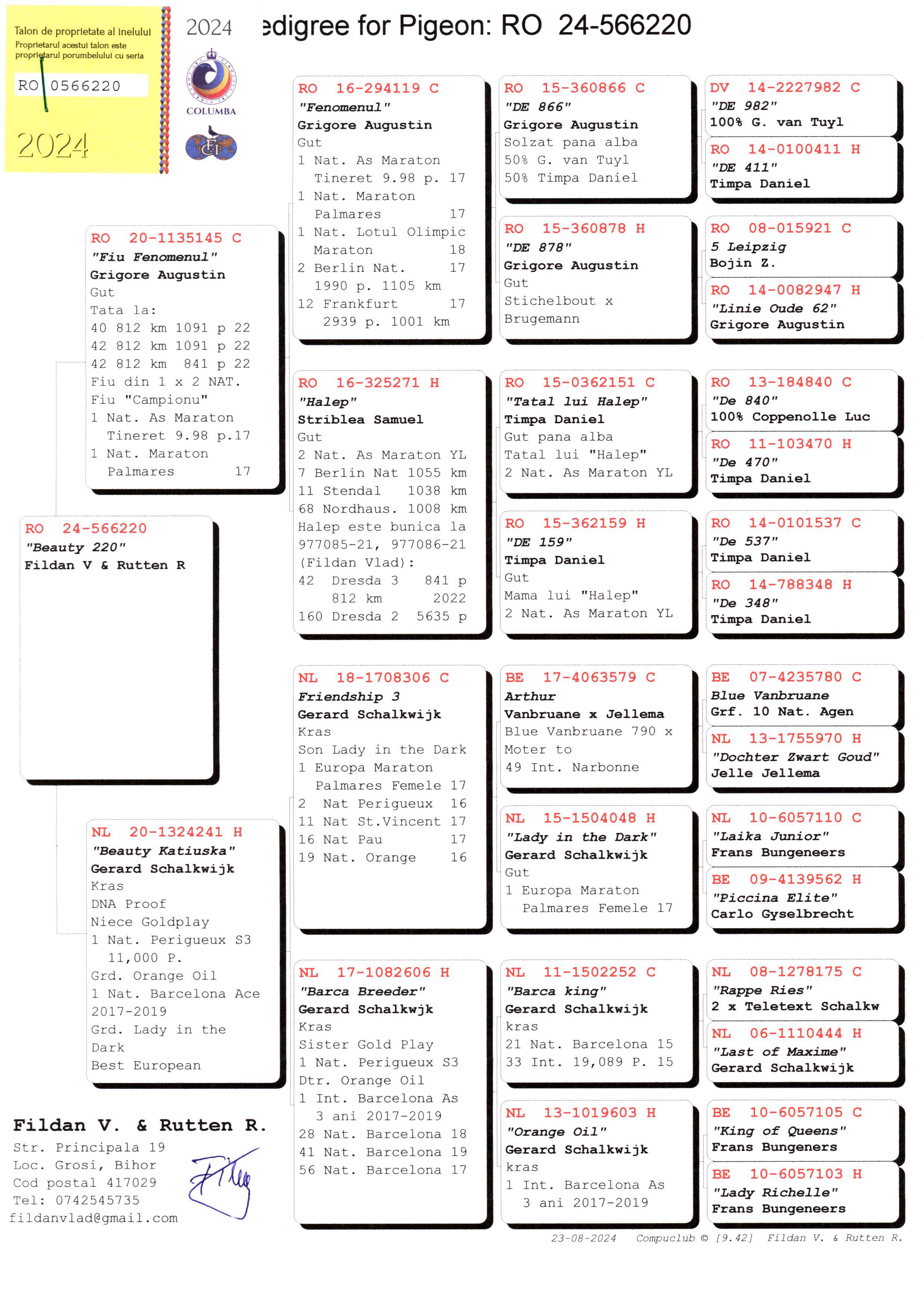 Pigeon pedigree image