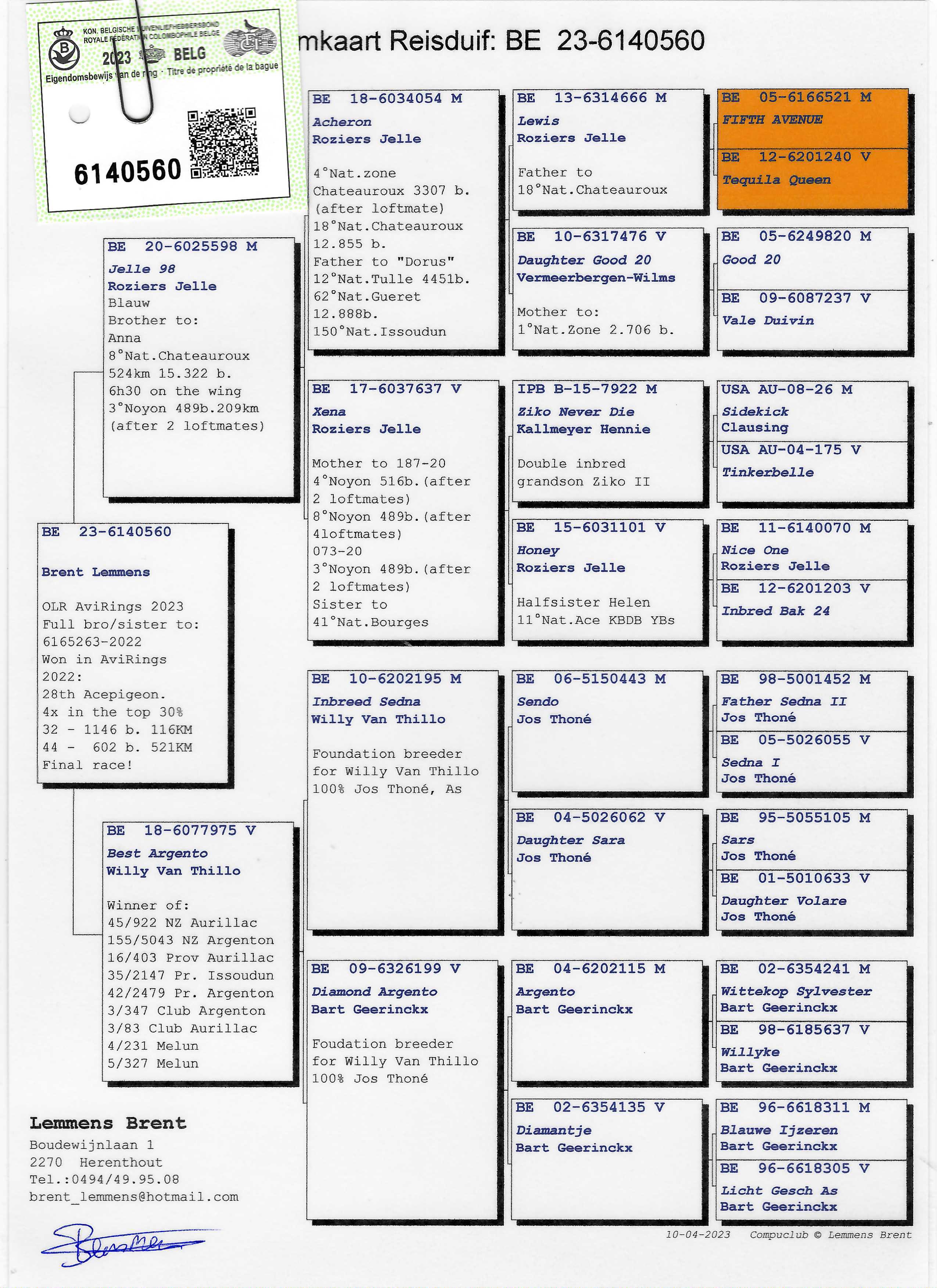 Pigeon pedigree image