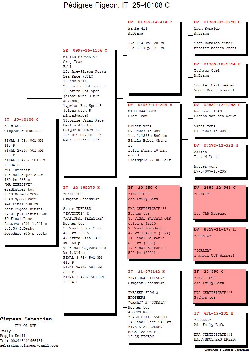 Pigeon pedigree image