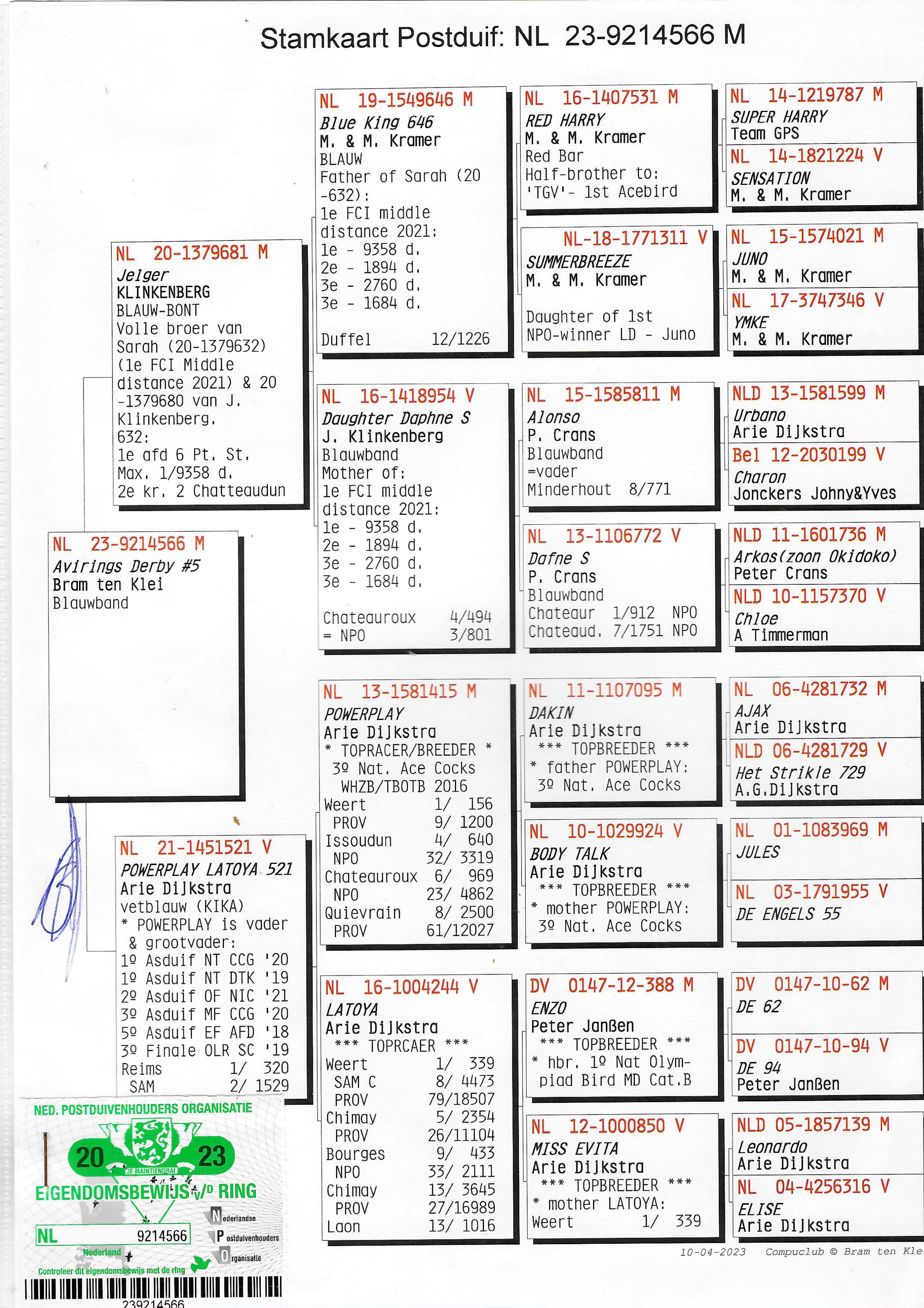 Pigeon pedigree image