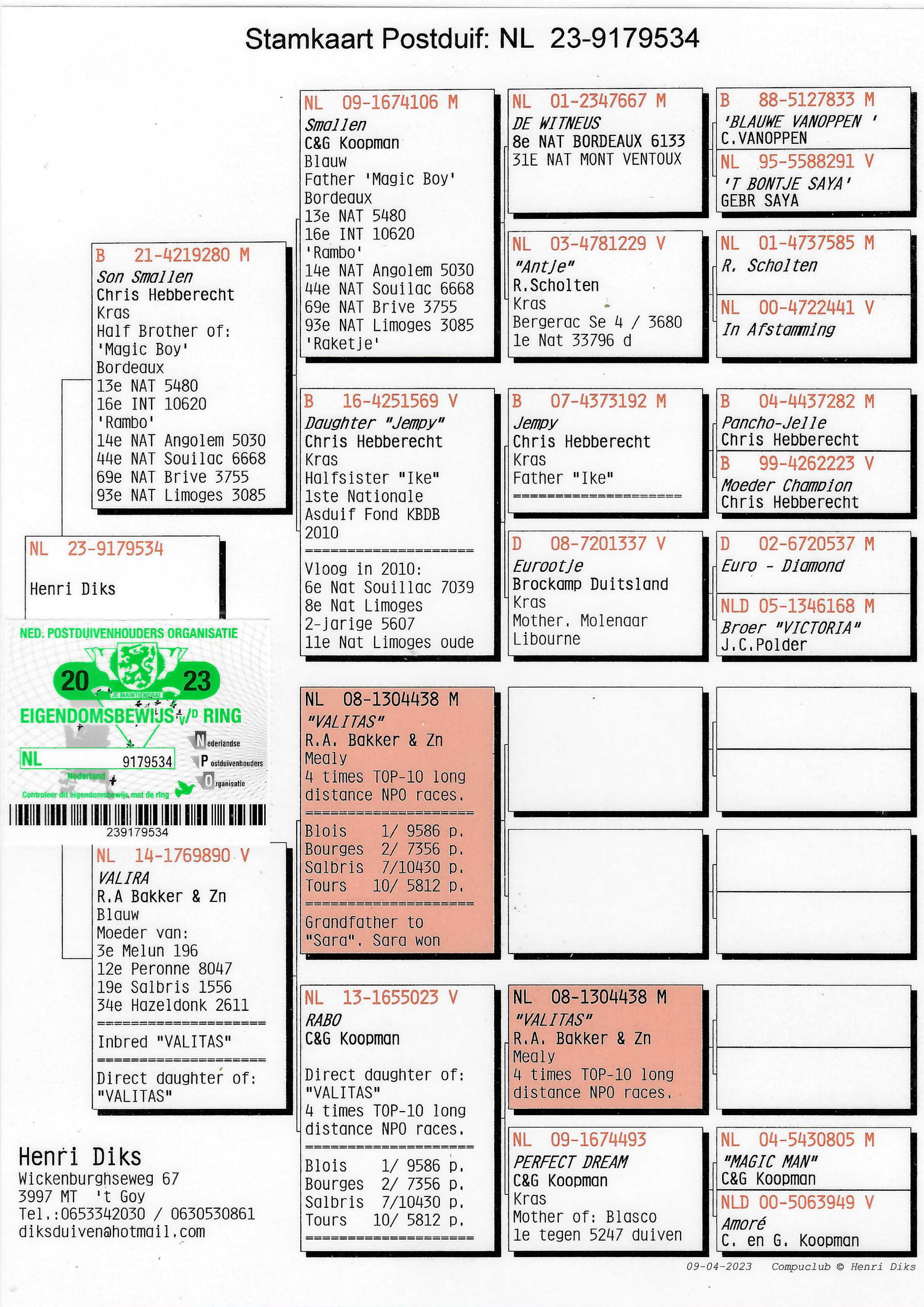 Pigeon pedigree image