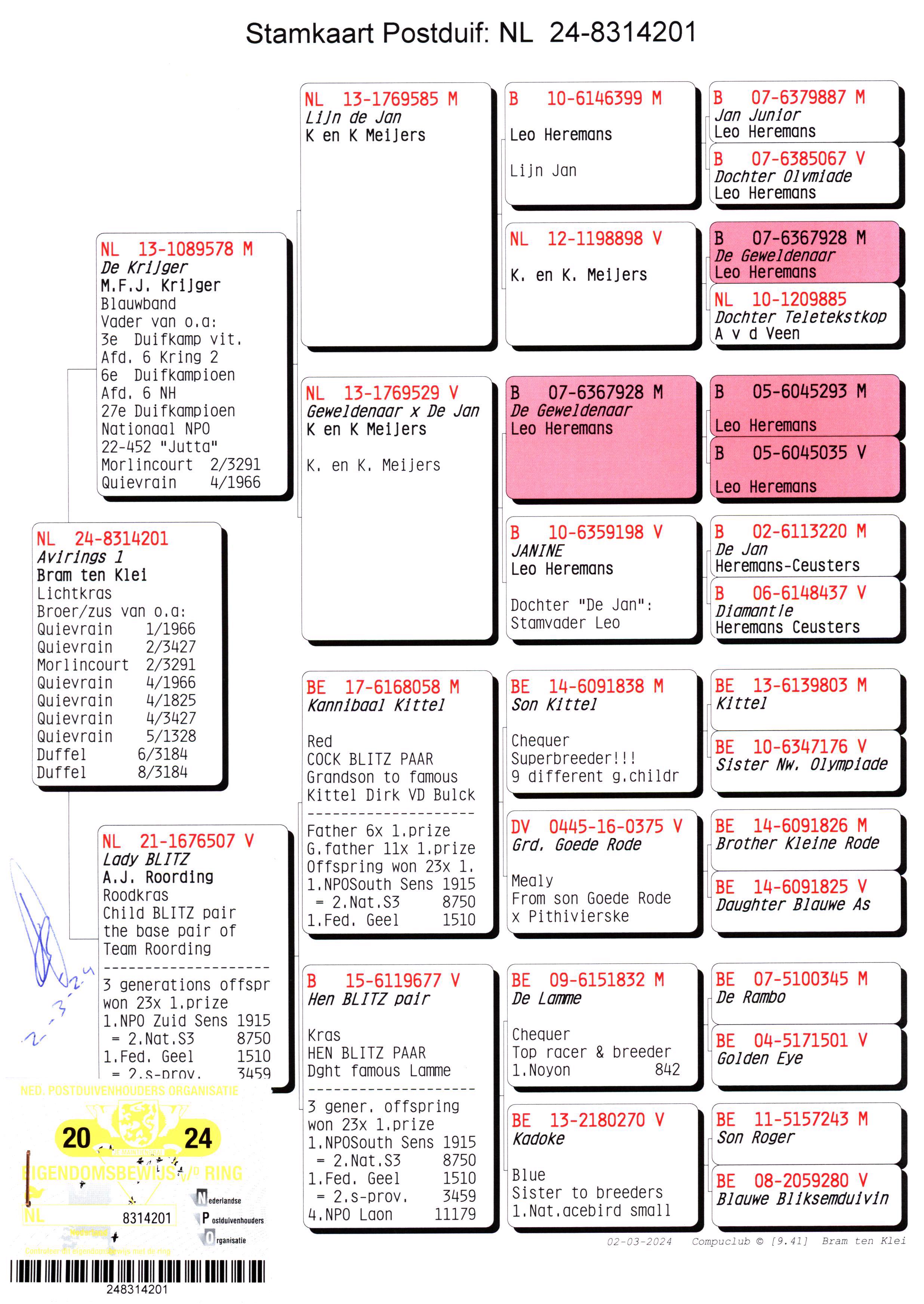 Pigeon pedigree image