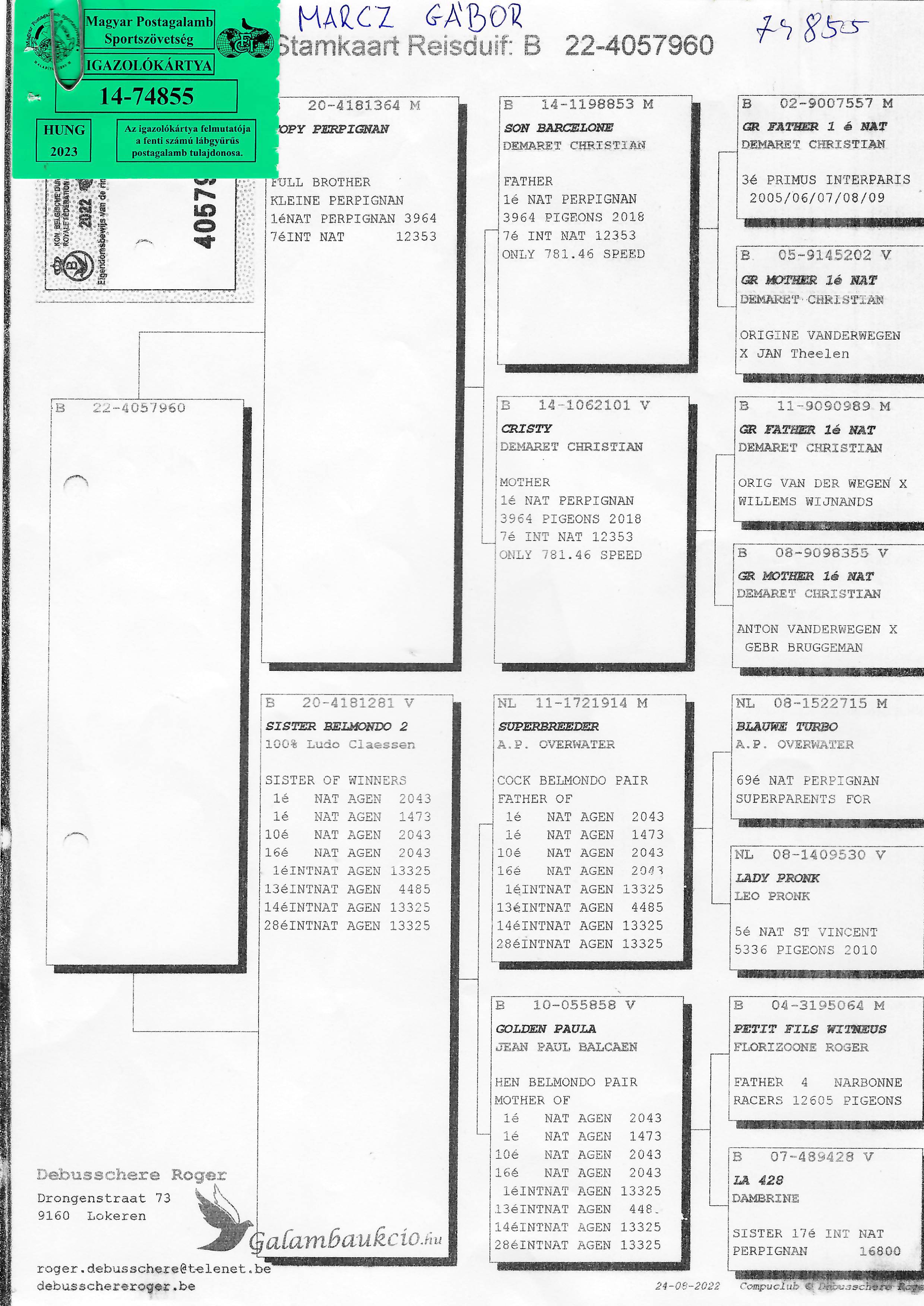 Pigeon pedigree image